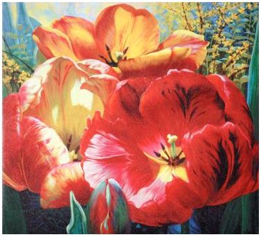 Tulip Trio Wrapped Canvas Print 36" Wide Wall Art