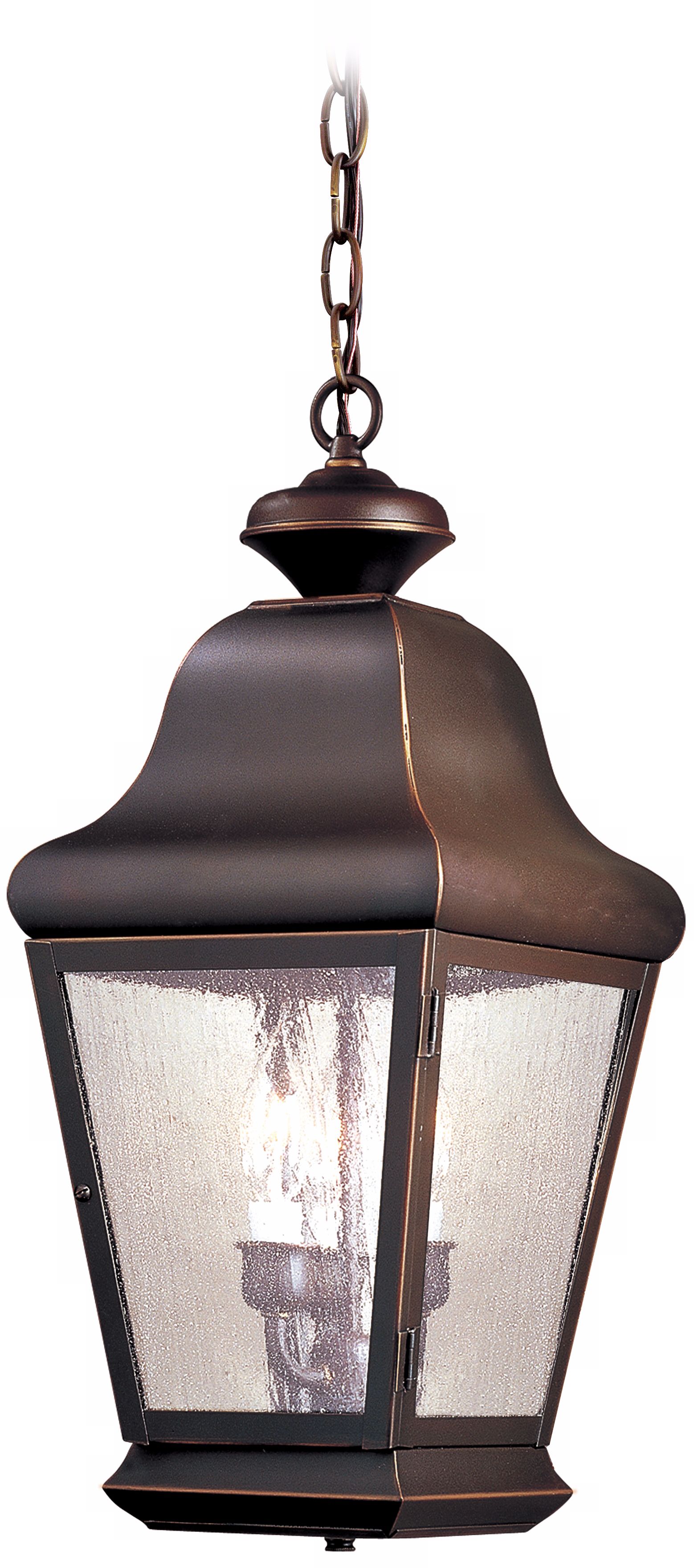 Carlton Collection 19 1/2" High Outdoor Hanging Light