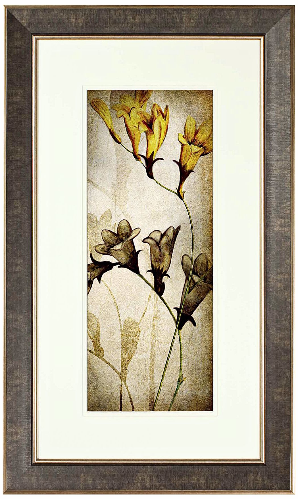 Walt Disney Alice in Wonderland Flowers 2 Framed Wall Art