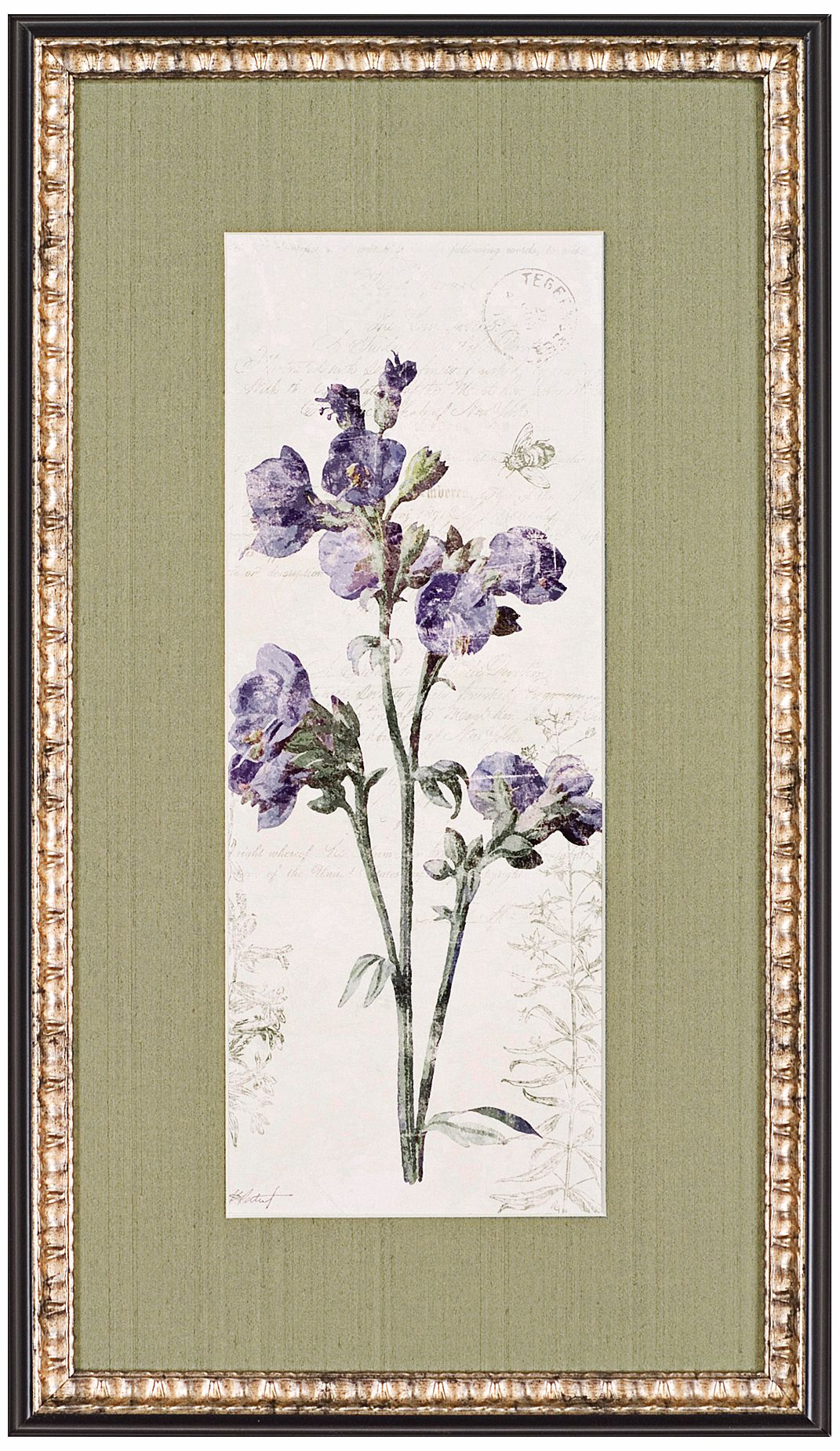 Jacobs Ladder Flower 28" High Wall Art Print
