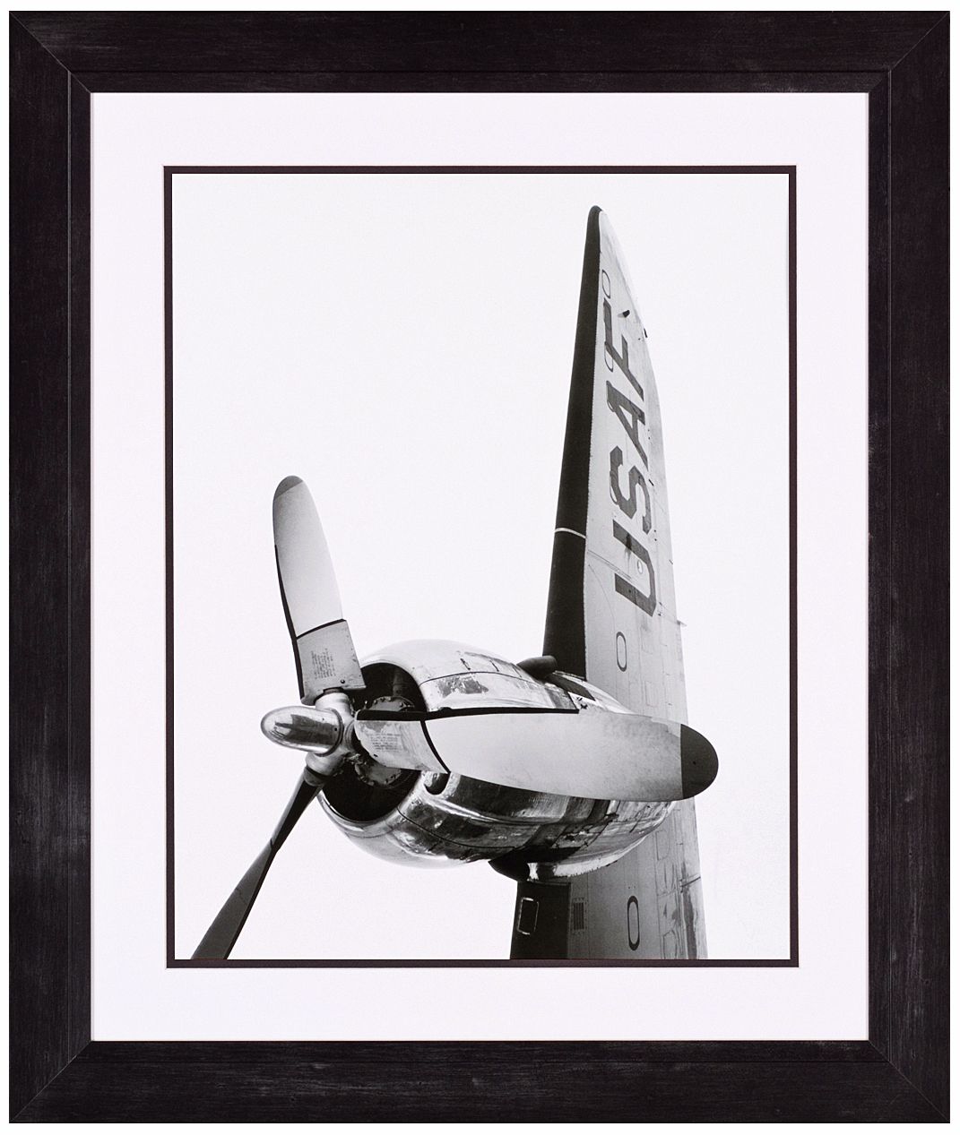 Patriotic Flight 33" High Wall Art