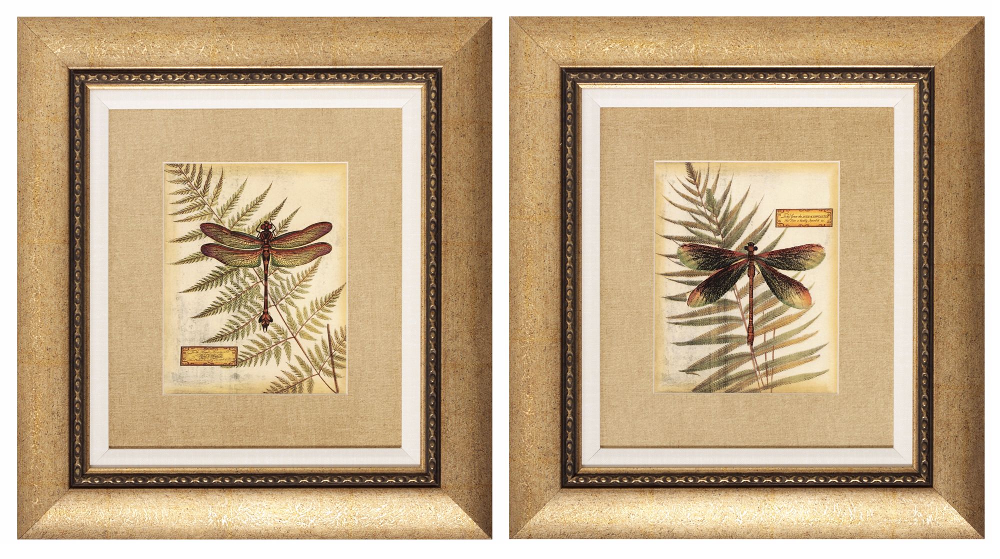 Set of 2 Dragonfly Fern Wall Art
