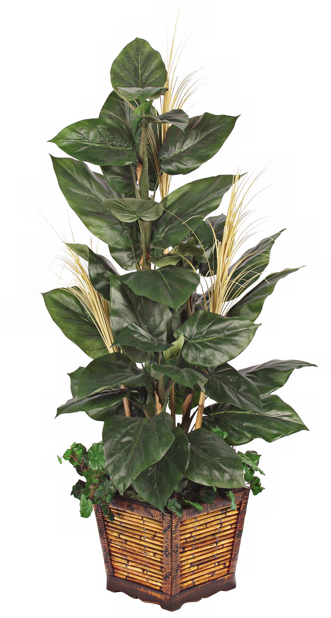 Philodendron and Bamboo Arrangement