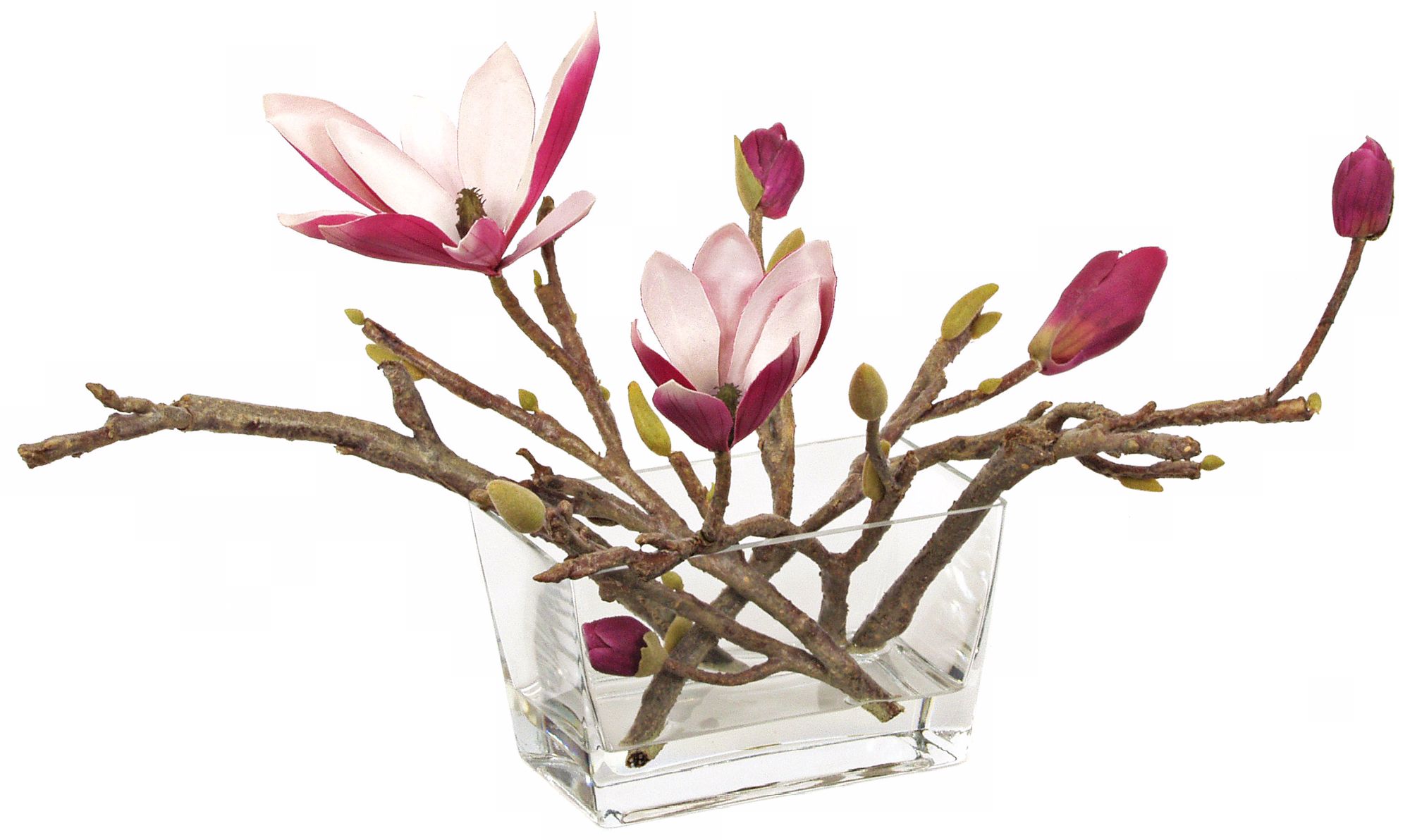 Japanese Magnolia in Glass Vase