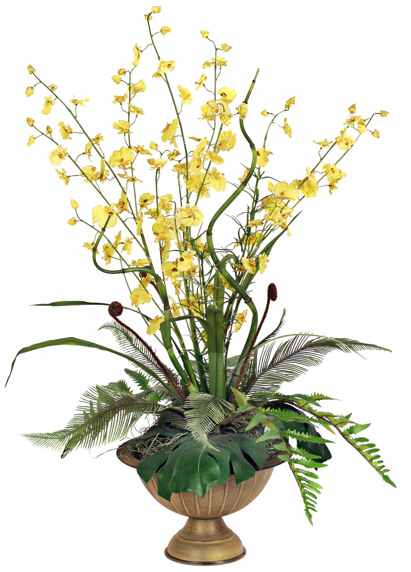 Tropical Forest Yellow Orchid