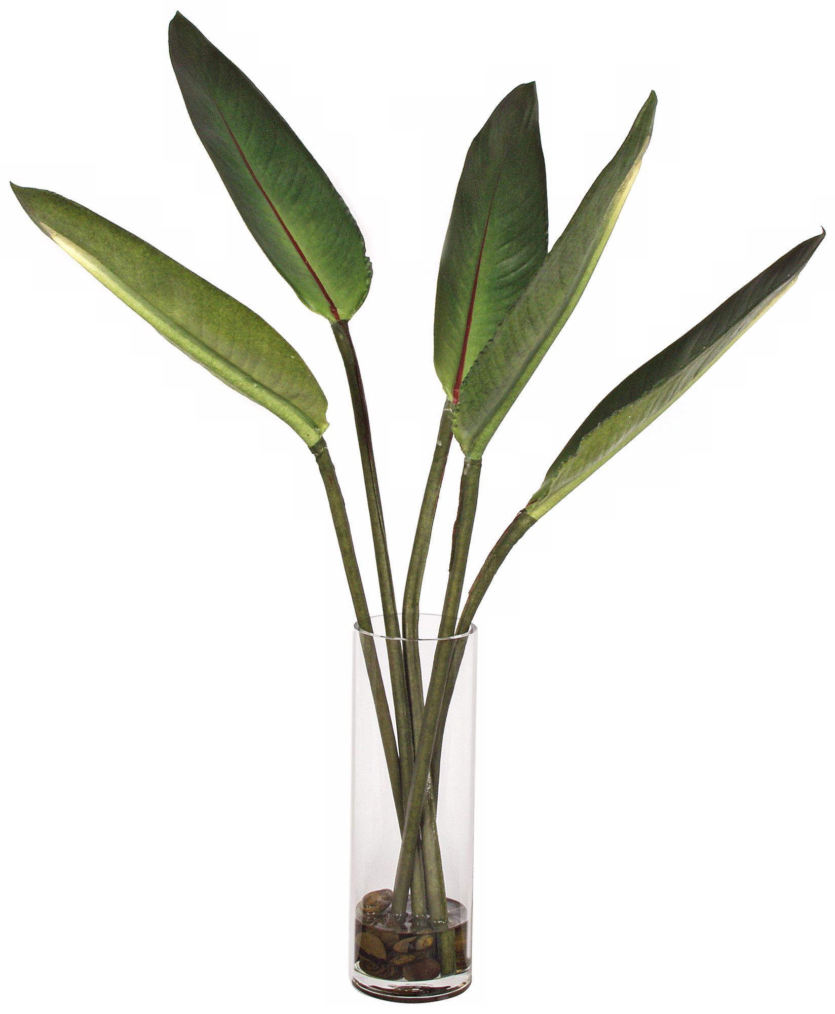 Kathy Ireland Paradise Leaves in Glass Vase J7448