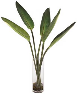 Kathy Ireland Paradise Leaves in Glass Vase J7448