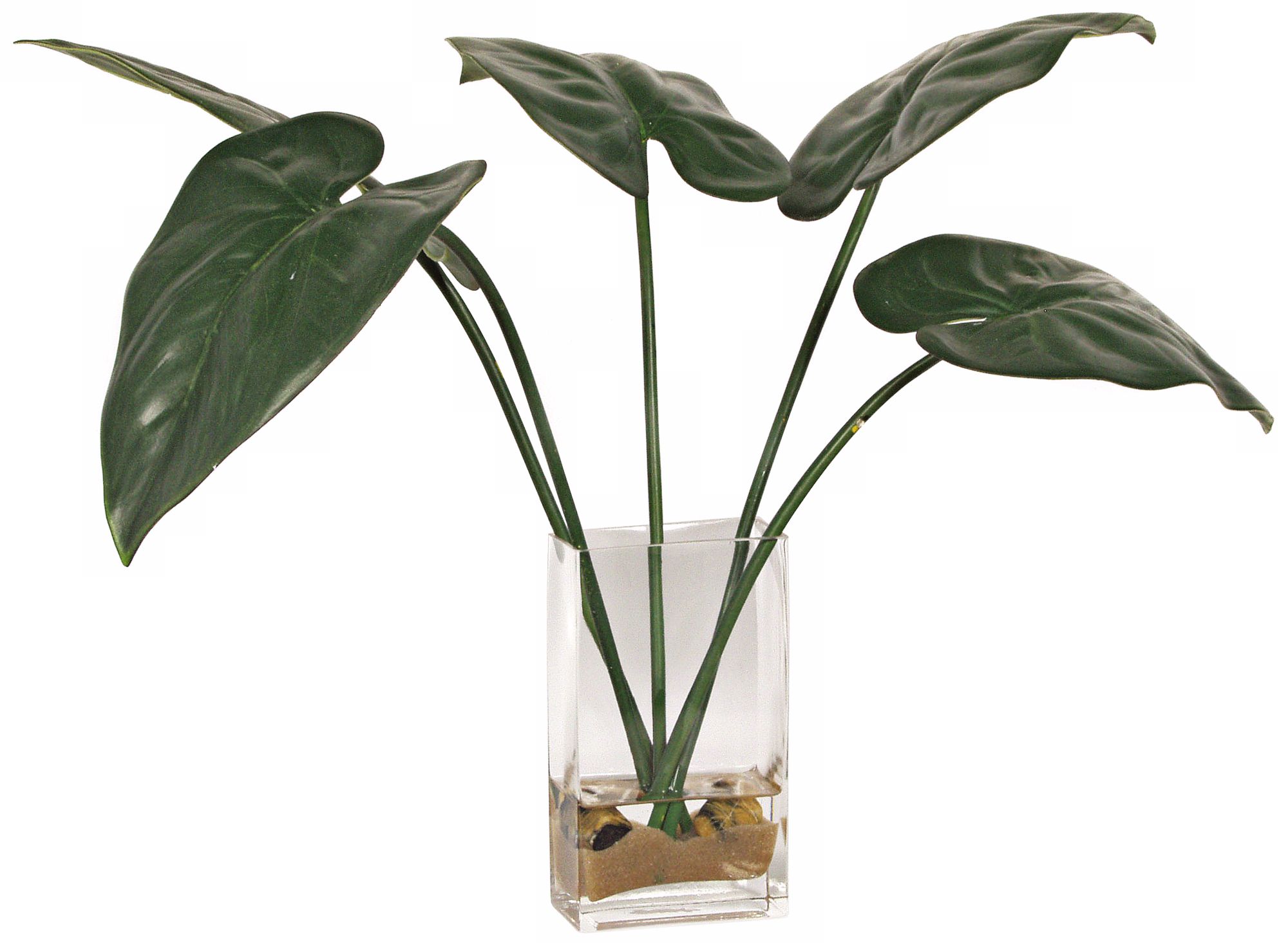 Tropical Leaves in Glass Vase