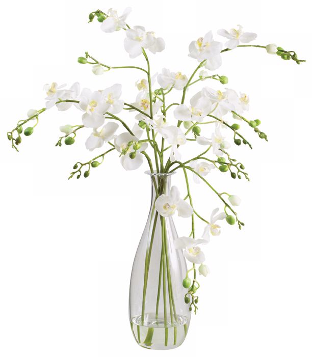 Paloma White Orchids in Glass Vase