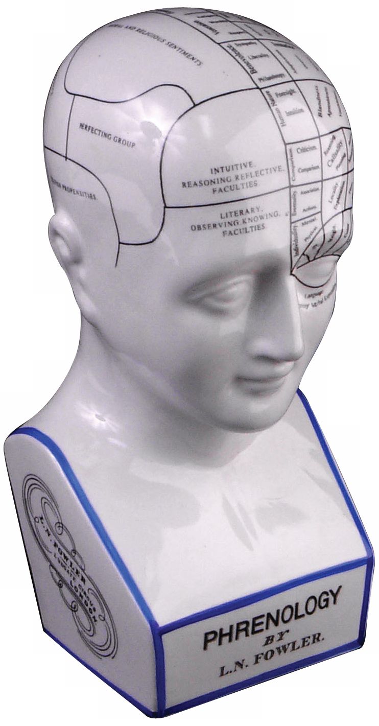 Ceramic Phrenology Head