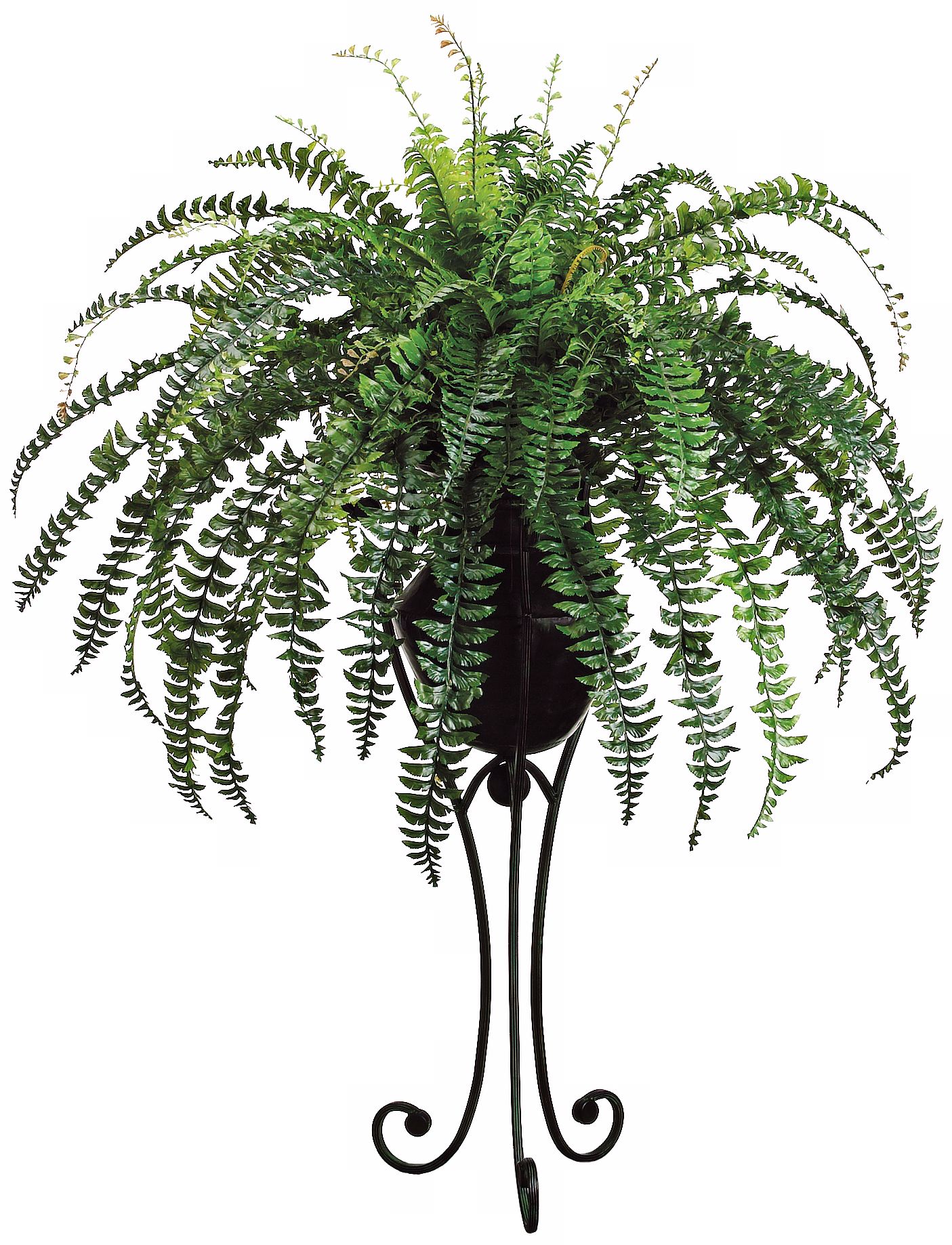 Fishtail Fern Floral Arrangement with Black Metal Stand