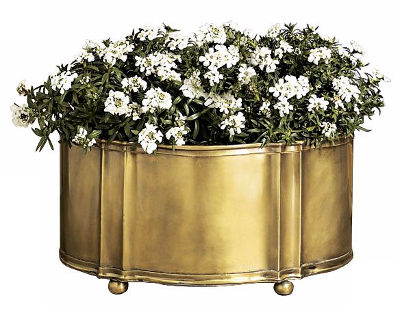 Antique Brass Finish Planter