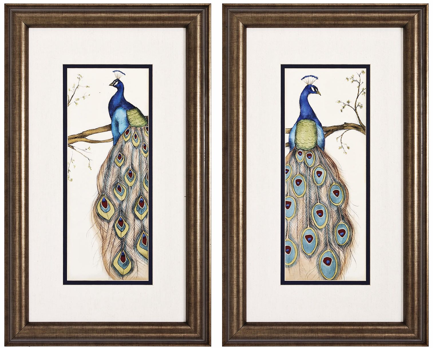 Set of Two Peacock I & II Framed Wall Art