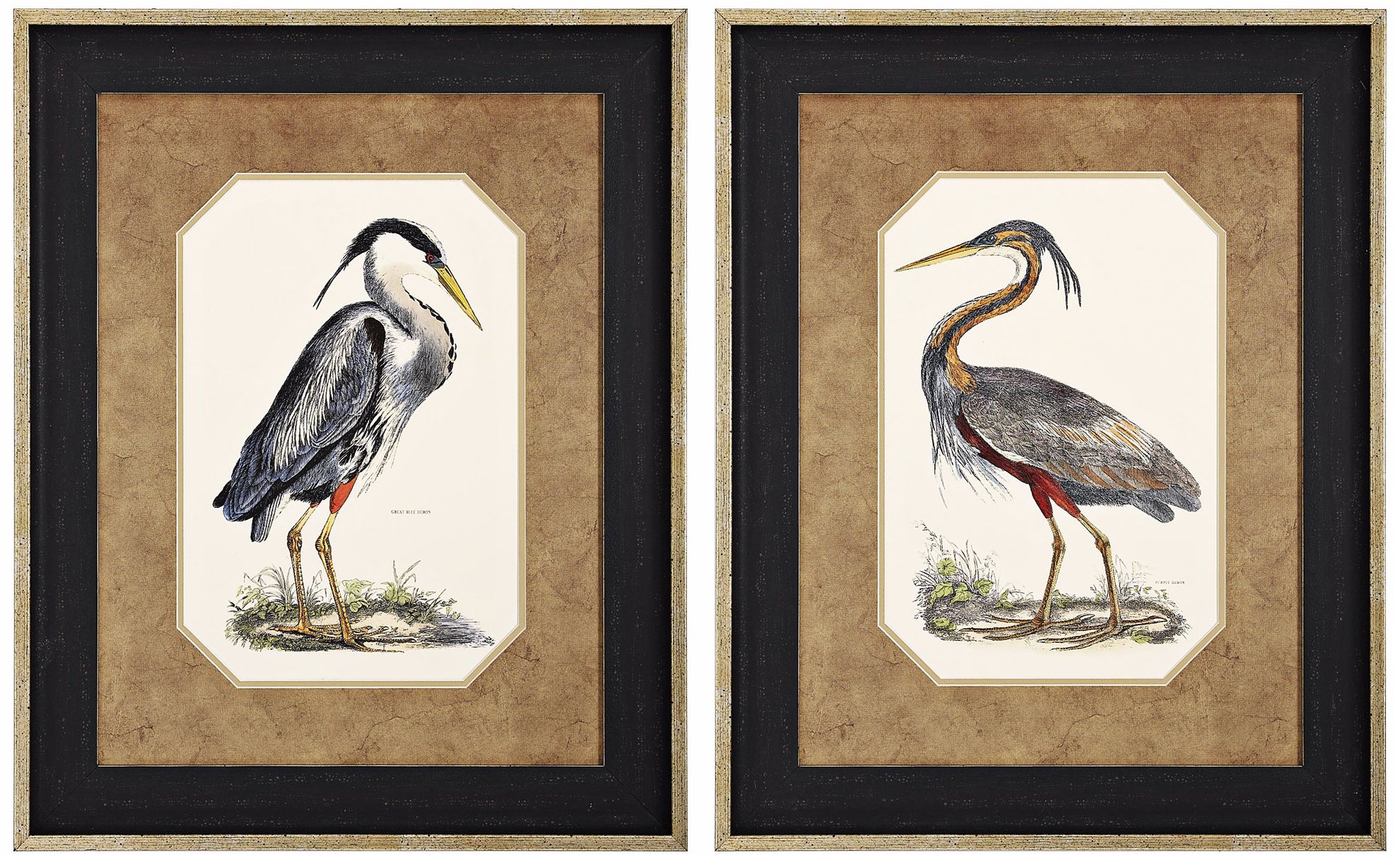 Set of 2 Blue and Purple Heron Prints Wall Art