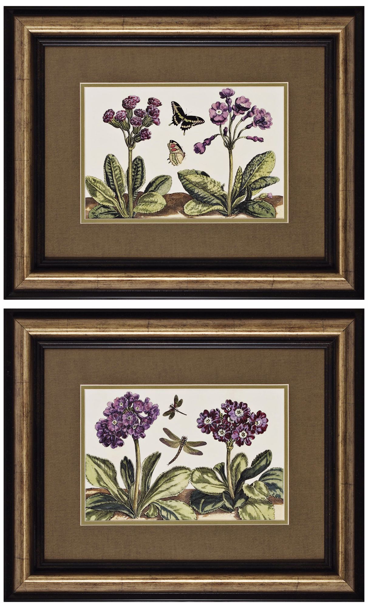 Set of 2 Small Garden I and II Framed Prints Wall Art