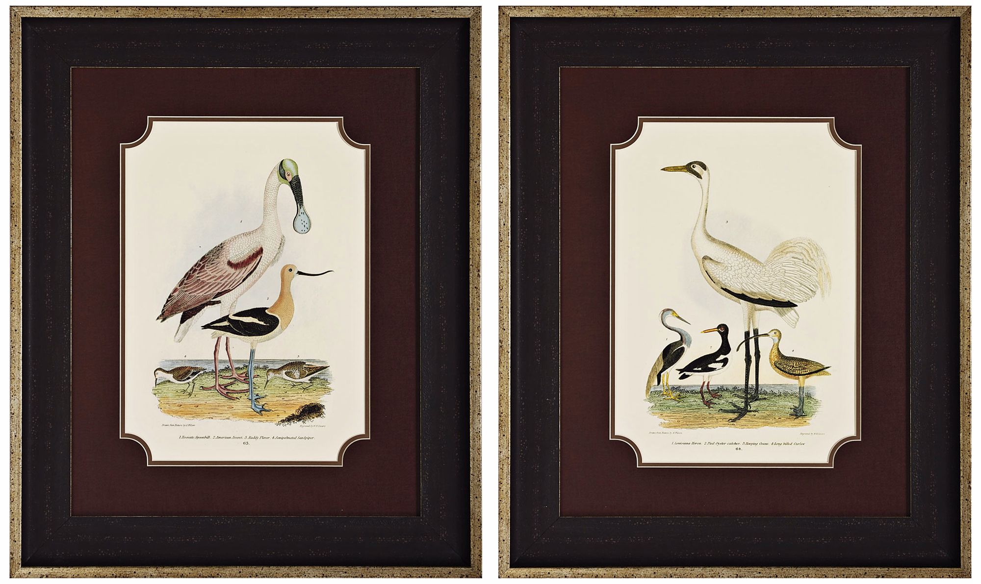 Set of 2 Spoonbill and Heron Prints Wall Art