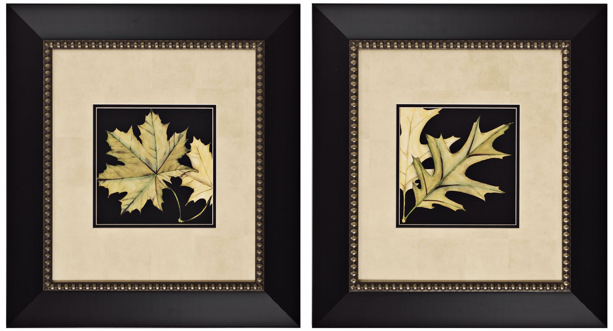 Set of 2 Leaves II and III Prints Wall Art