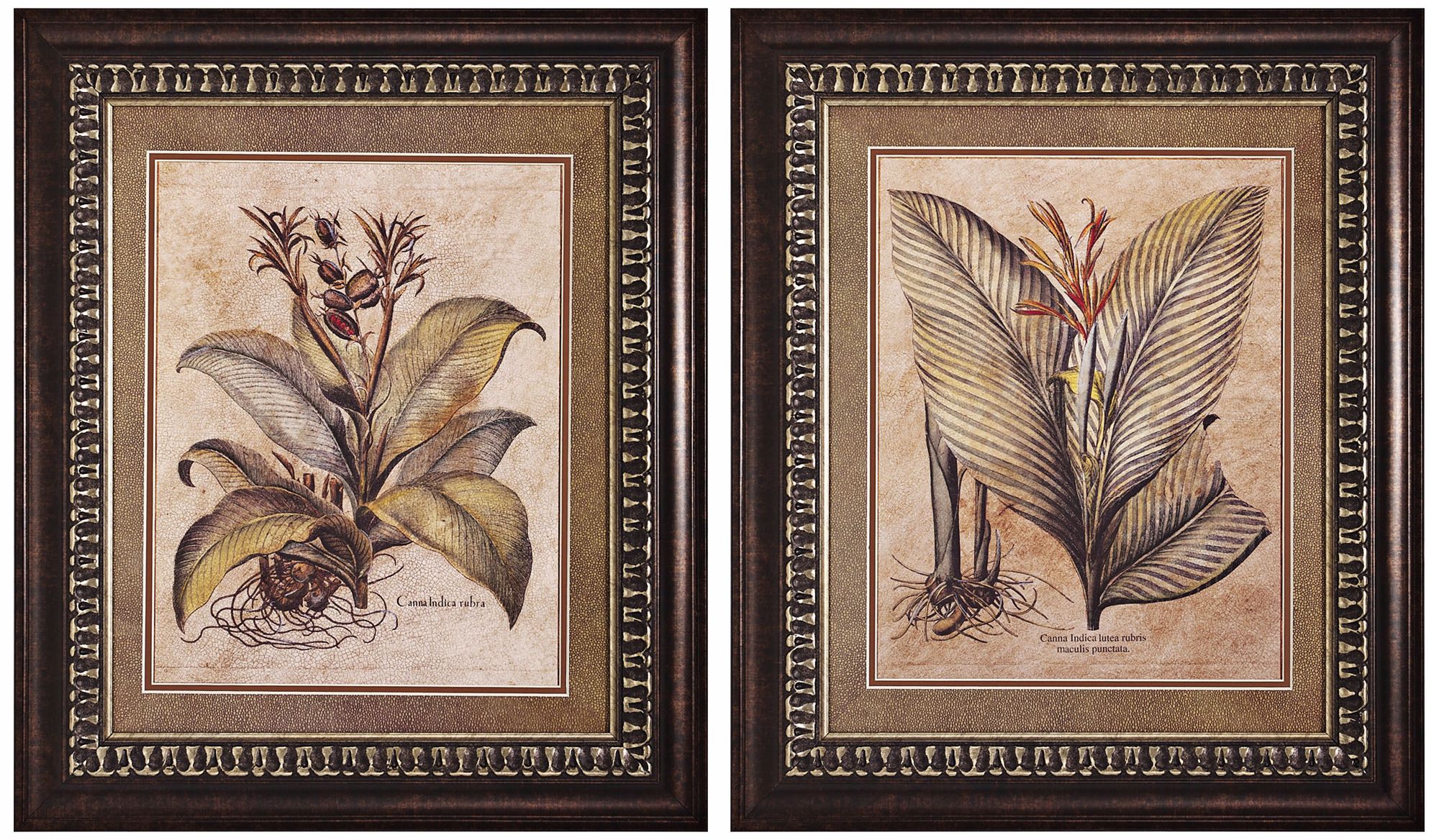 Set of 2 Valencia I and II Framed Prints Wall Art