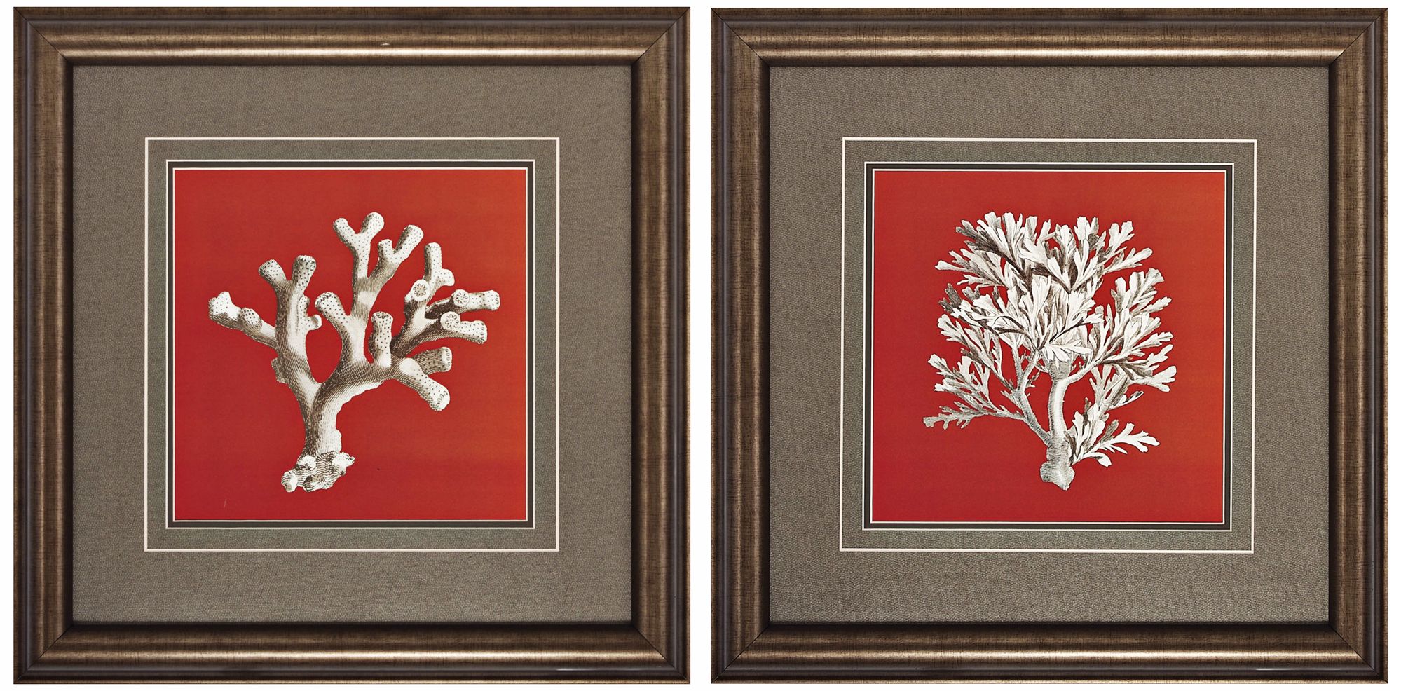 Set of Two Coral Red II & IV Framed Wall Art