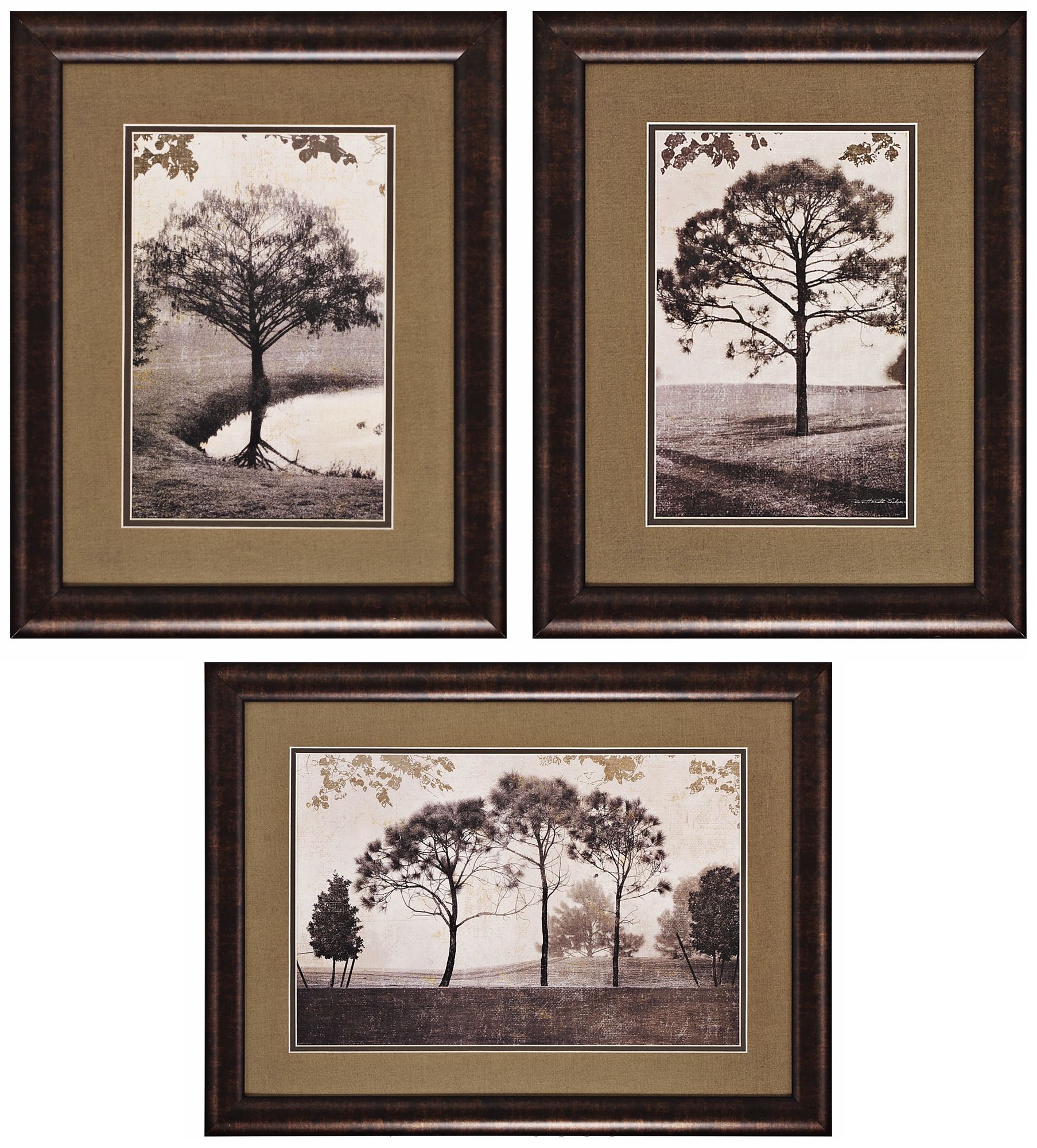 Set of 3 Trees IV-V-VI Prints Wall Art