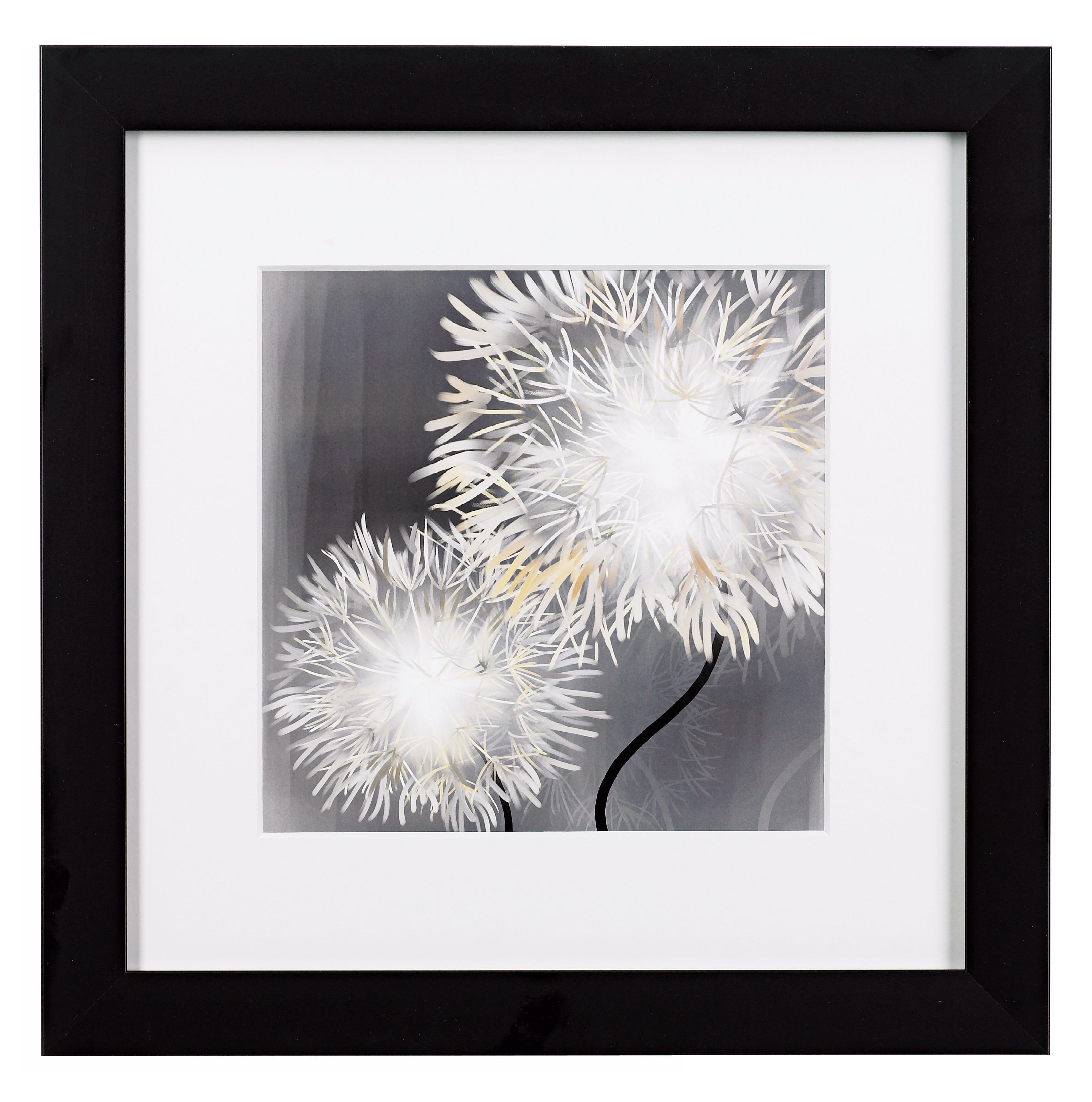 Dandelions Close Ups A Framed Print 16" Square Wall Art