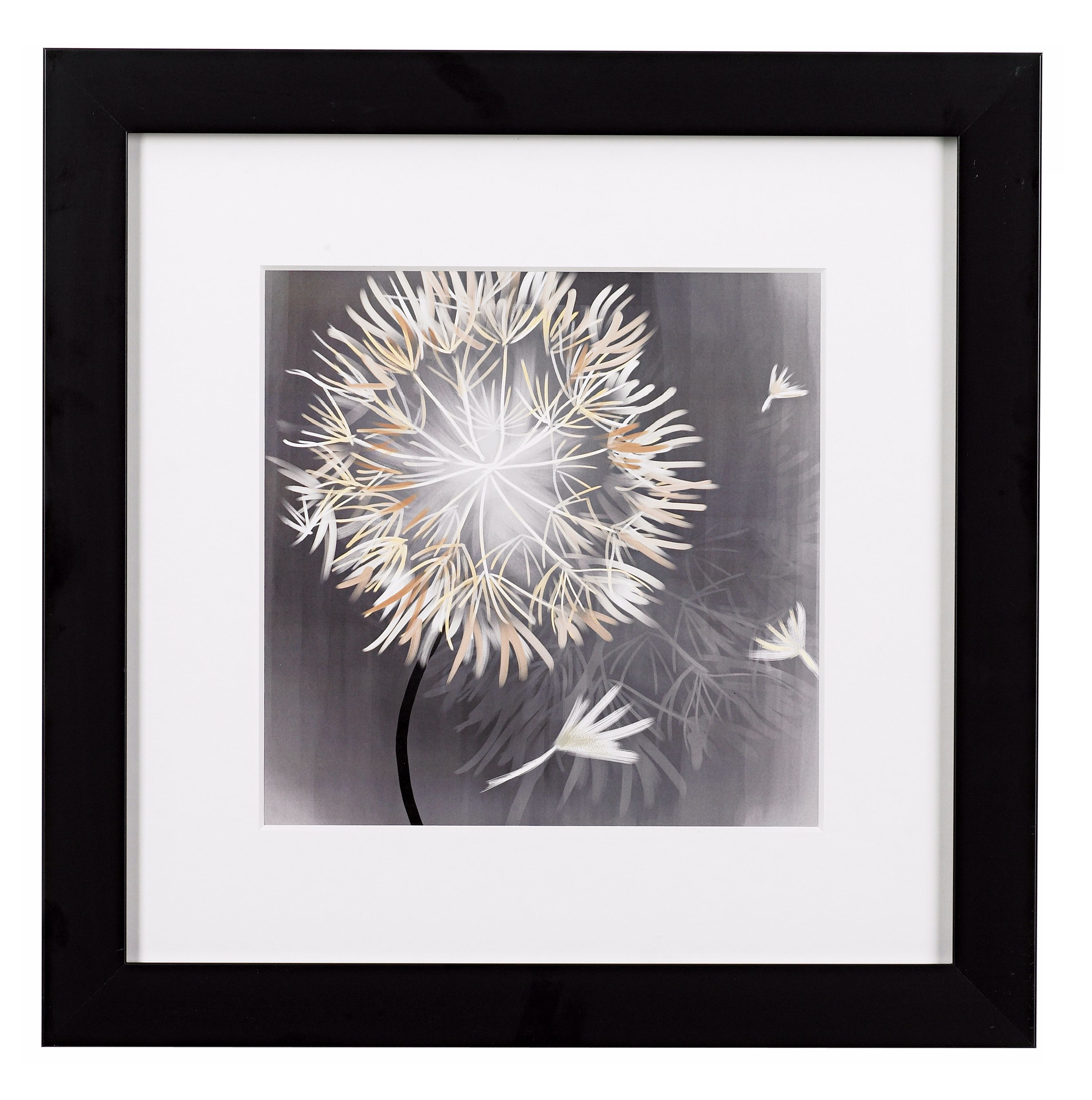 Dandelions Close Ups B Framed Print 16" Square Wall Art