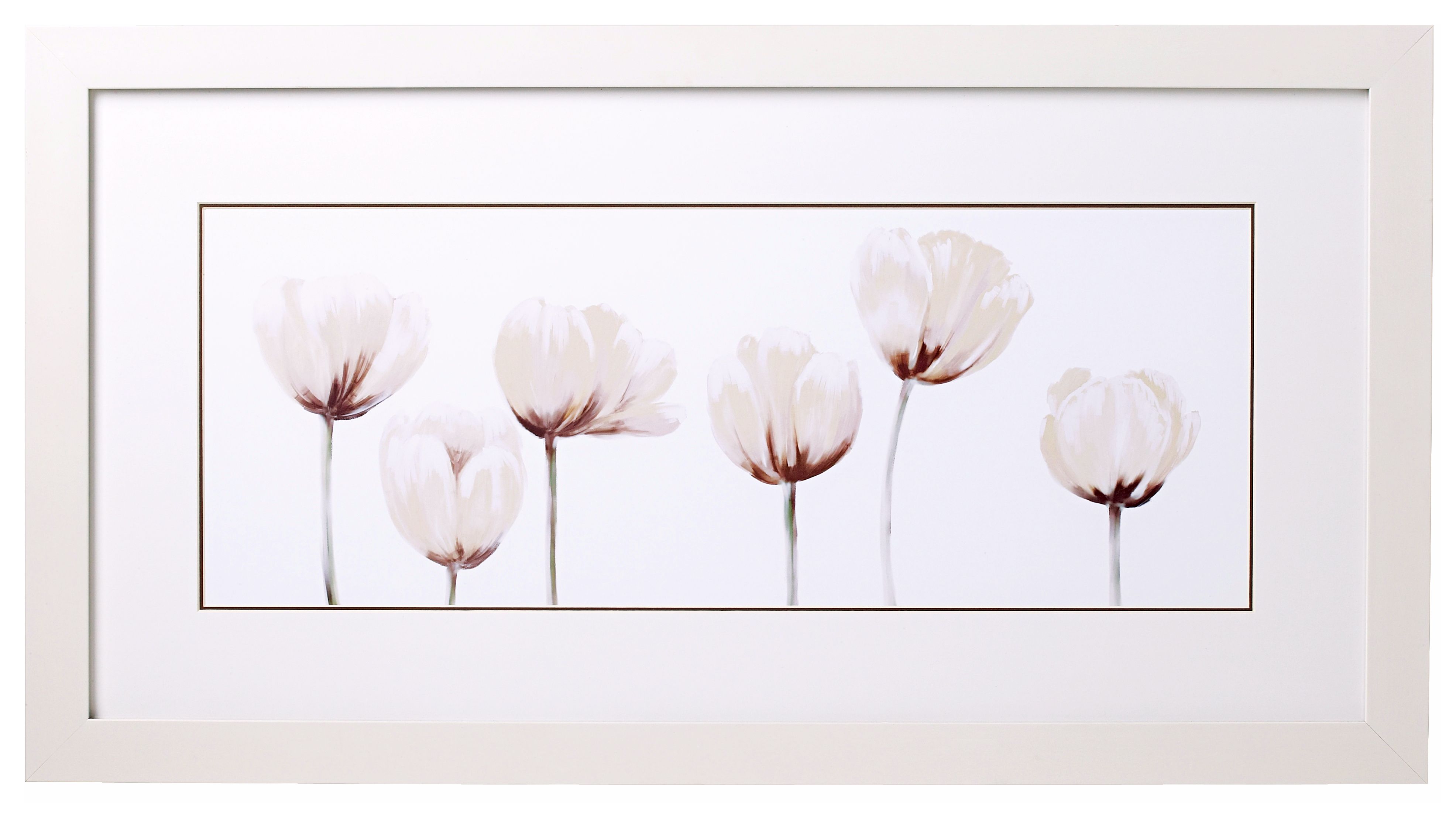 White Tulip Line-up I 32" Wide Print