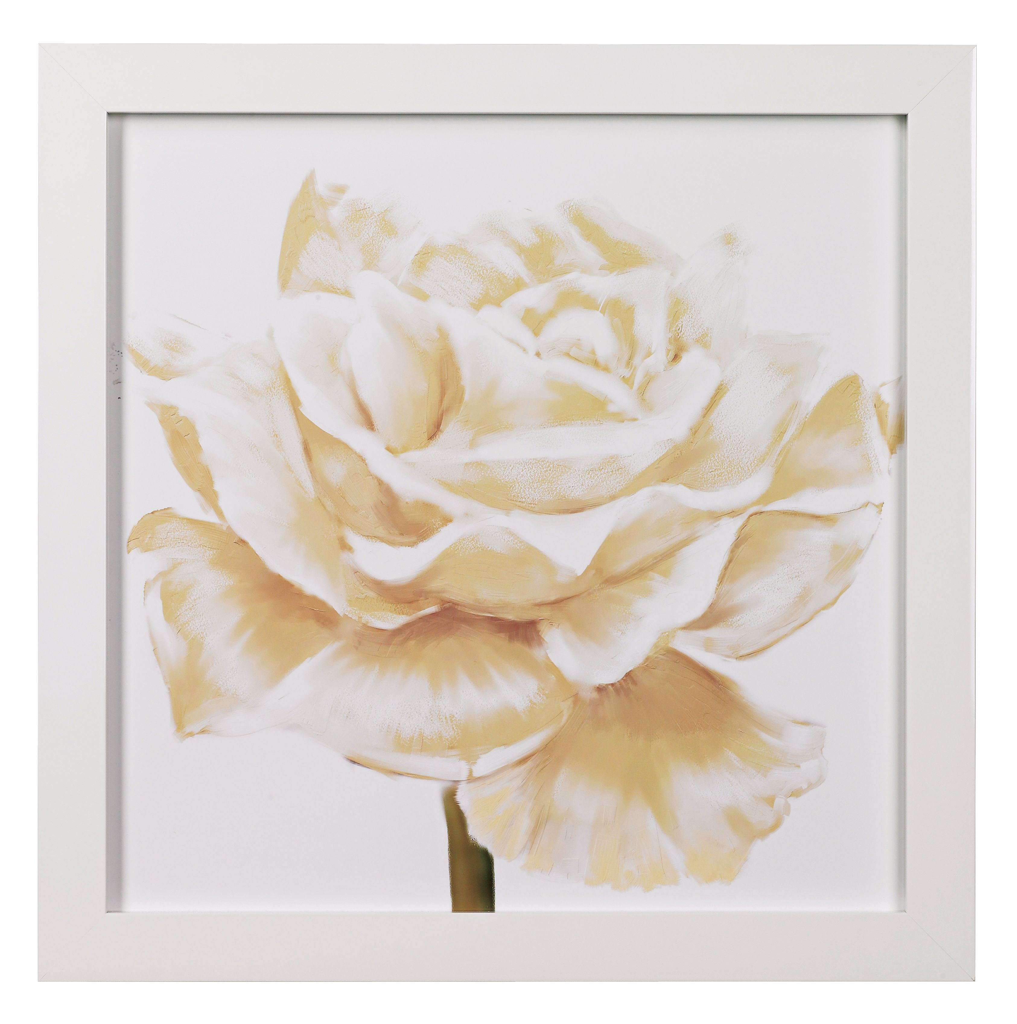 White Roses Closeups B Framed 24" Square Wall Art