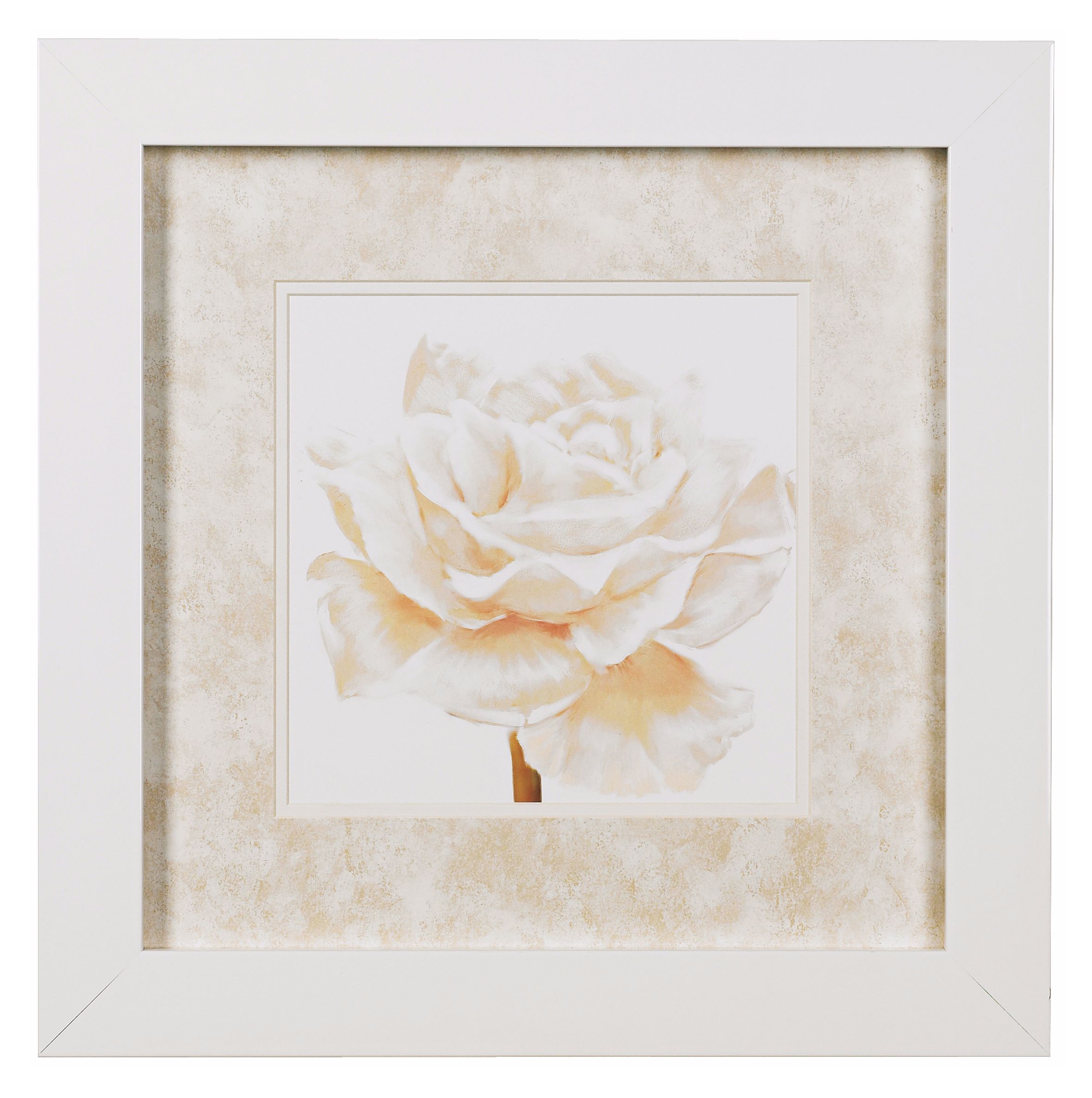 Rose Close Ups A Framed Print 16" Square Wall Art