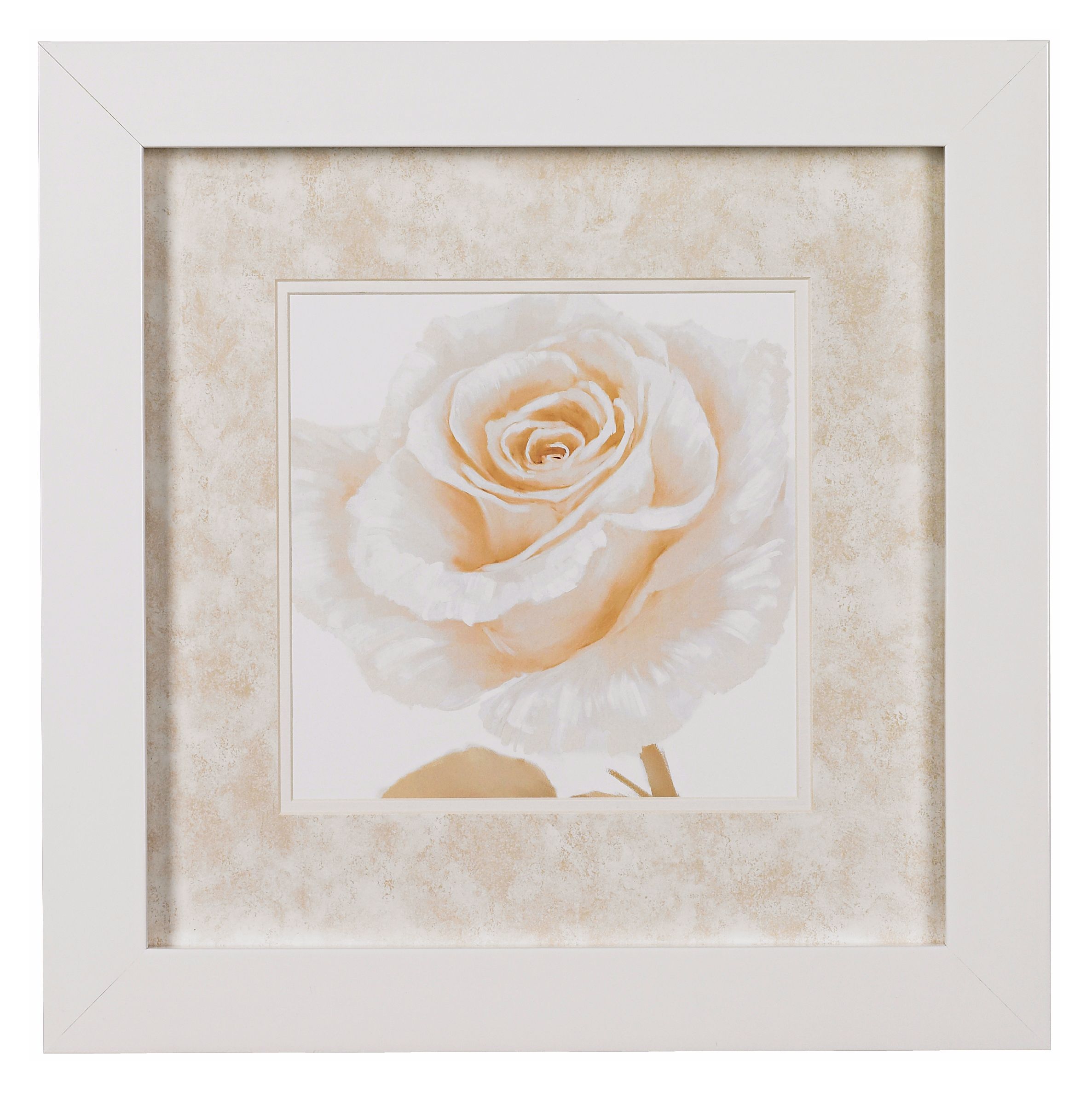 Rose Close Ups B Framed Print 16" Square Wall Art