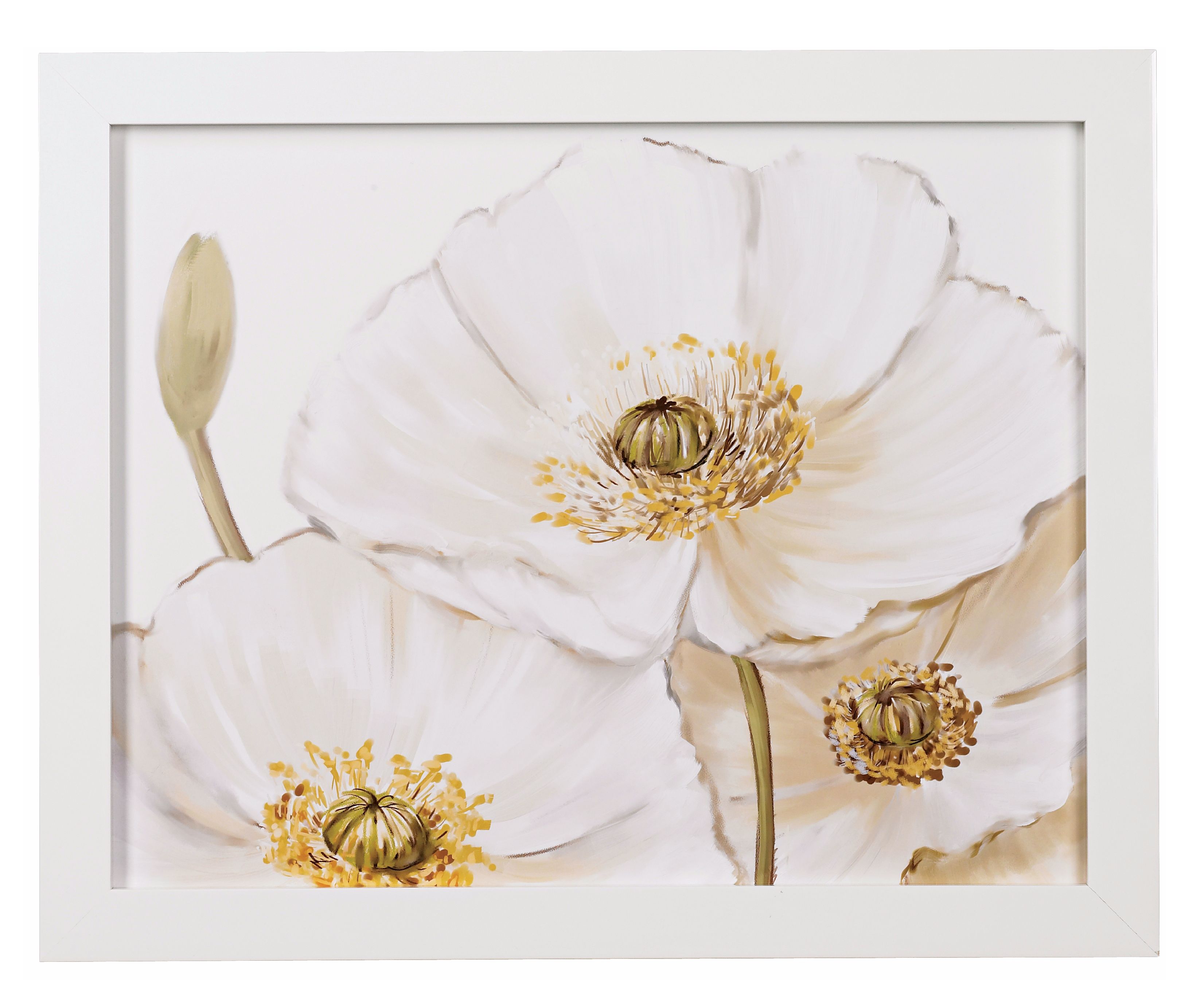 White Poppies Close Ups Framed Print 28" Wide Wall Art