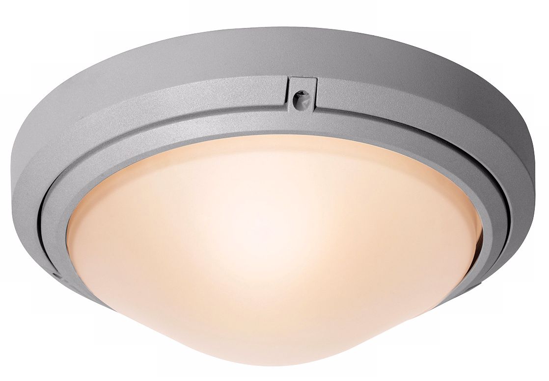 Oceanus Satin Nickel Outdoor Ceiling or Wall Light