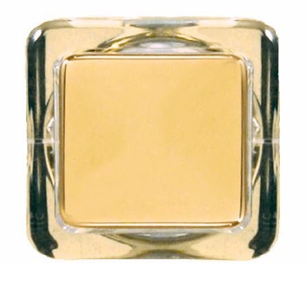 Polished Brass Finish Square Doorbell Button Insert