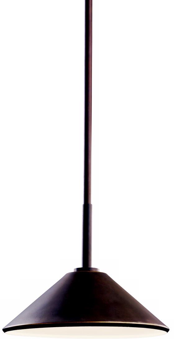 Ripley Collection 10" Wide Dark Sky Outdoor Pendant Light