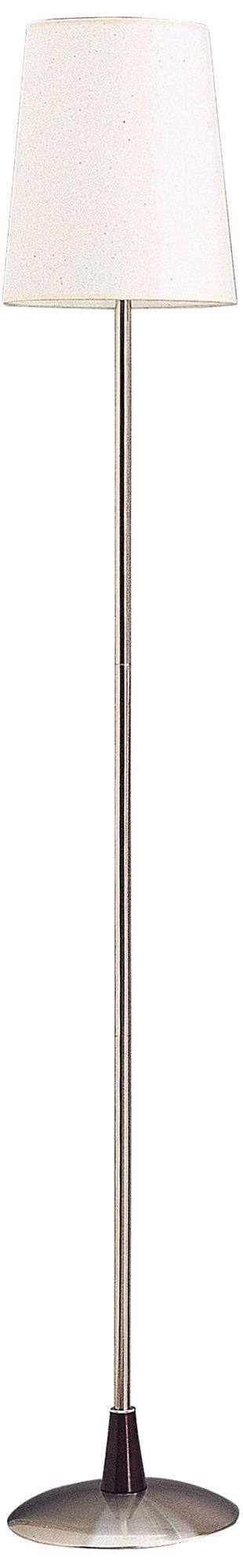 Brushed Steel Finish with Oak Trim 58" High Floor Lamp