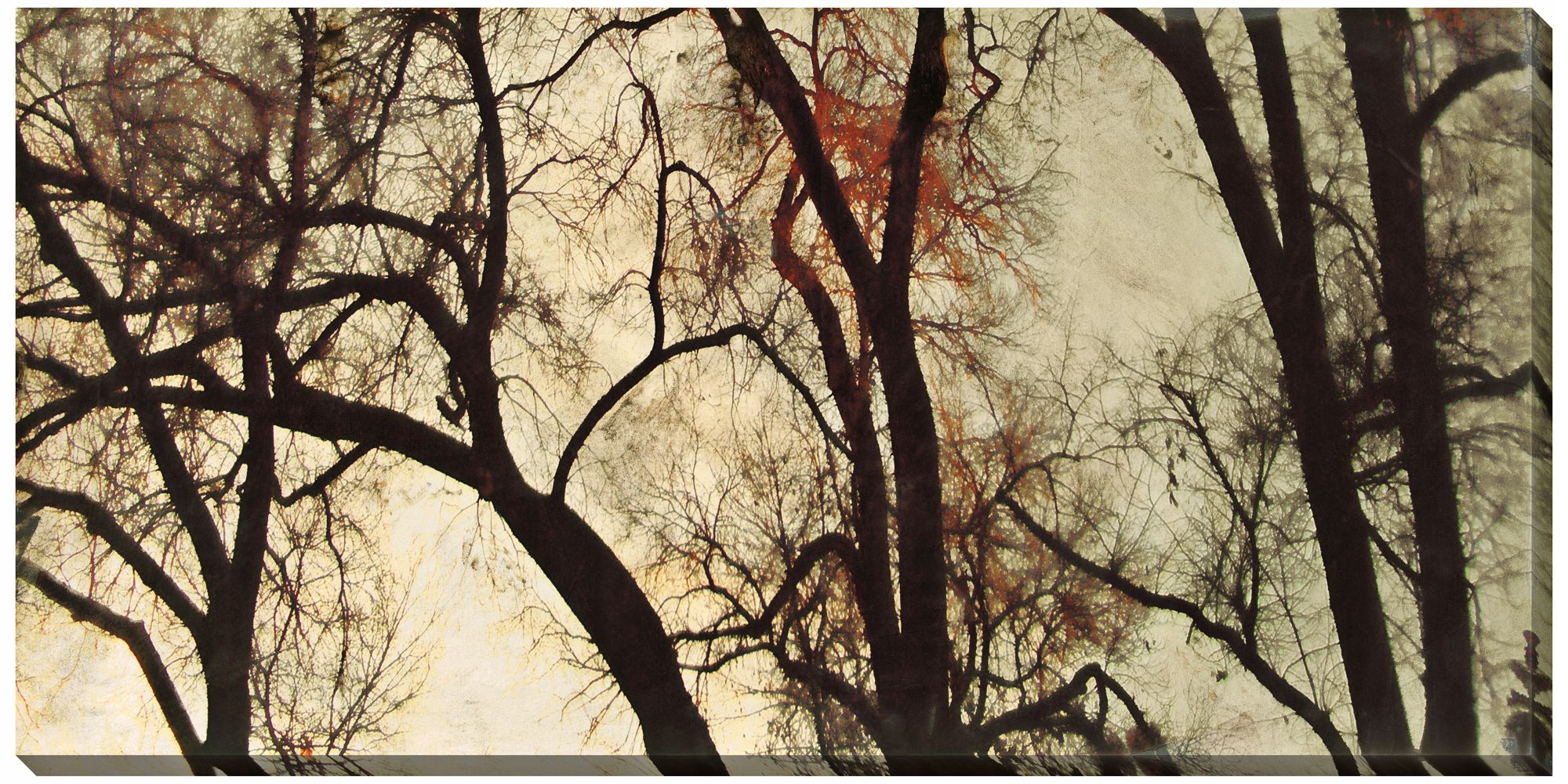 Transcendental I Giclee Indoor/Outdoor 48" Wide Wall Art