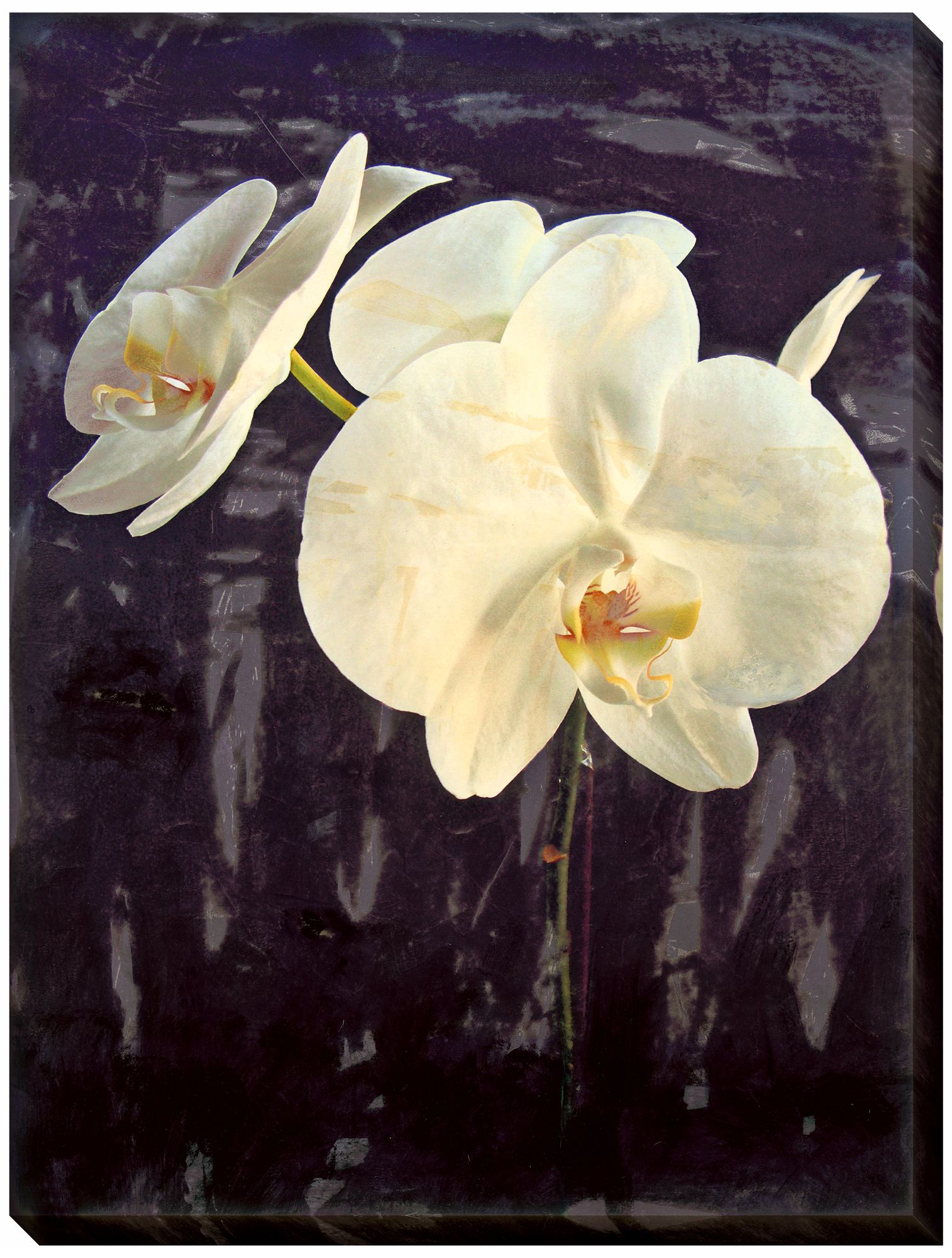Midnight Garden I Limited Edition Giclee 48" High Wall Art