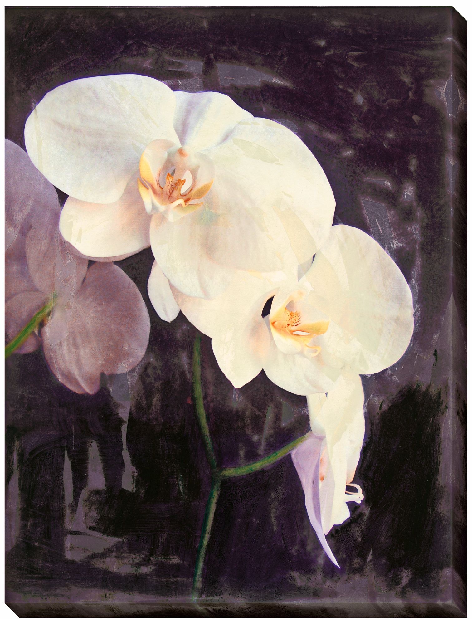 Midnight Garden II Limited Edition Giclee 48" High Wall Art