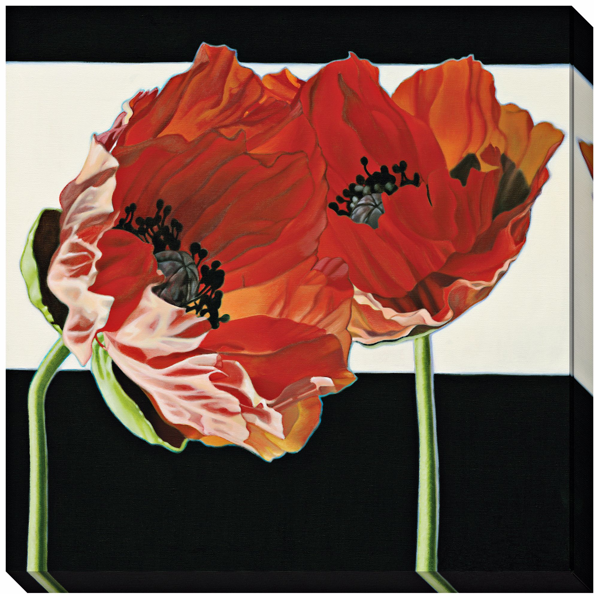 Poppies with Black and White Limited Edition Giclee Wall Art