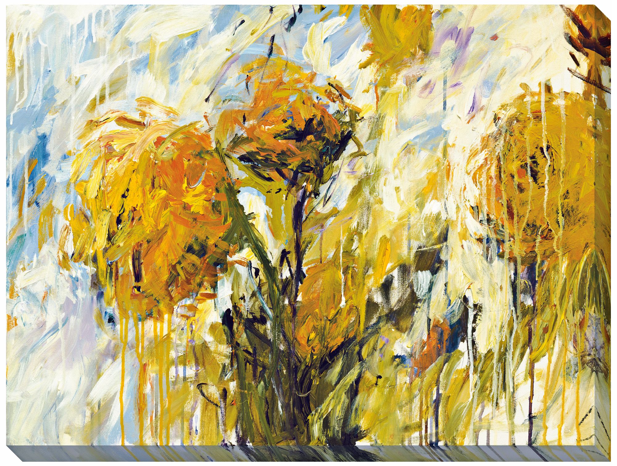 Sunflower Stare I Limited Edition Giclee 48" Wide Wall Art