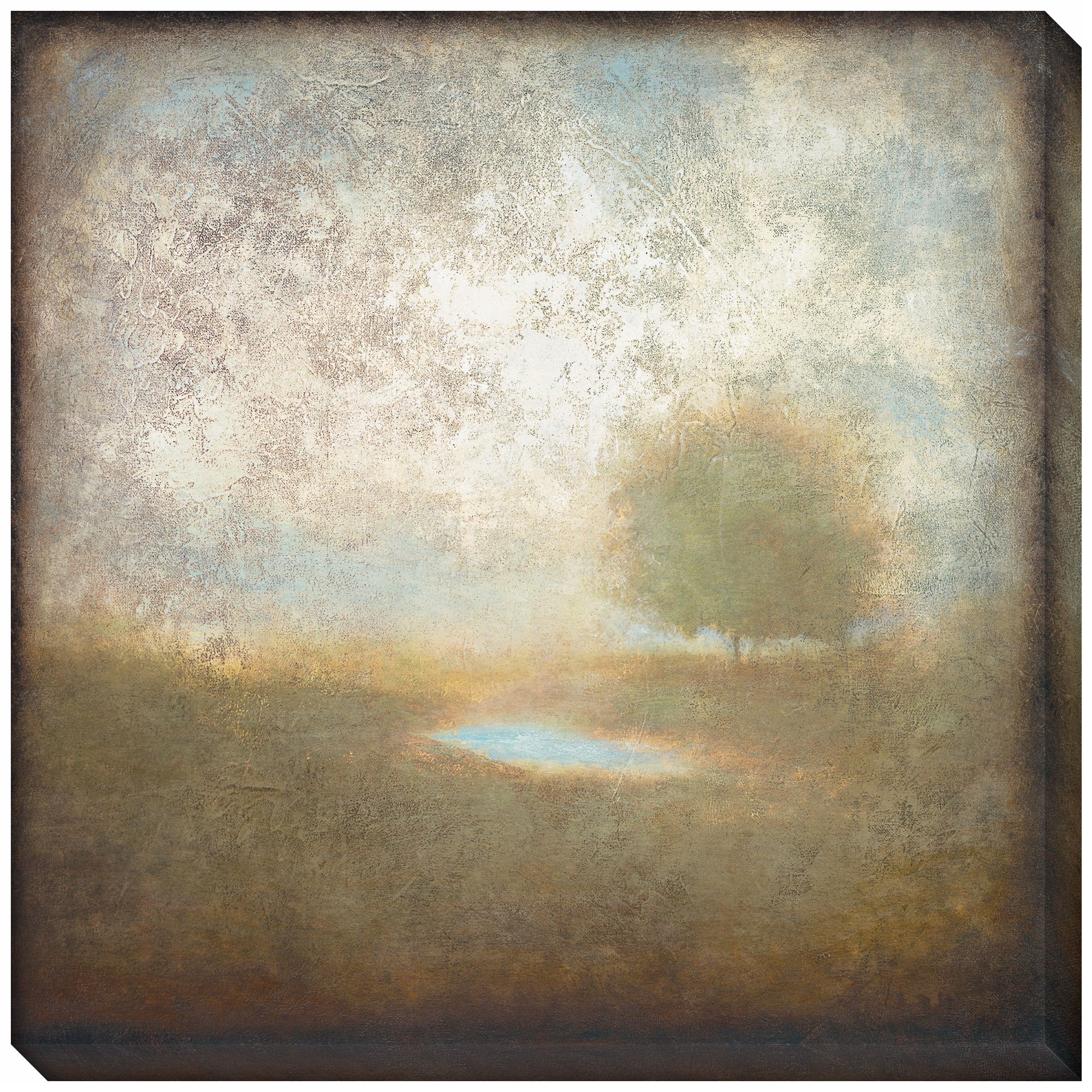 Cloudscape I Indoor/Outdoor 40" Square Wall Art