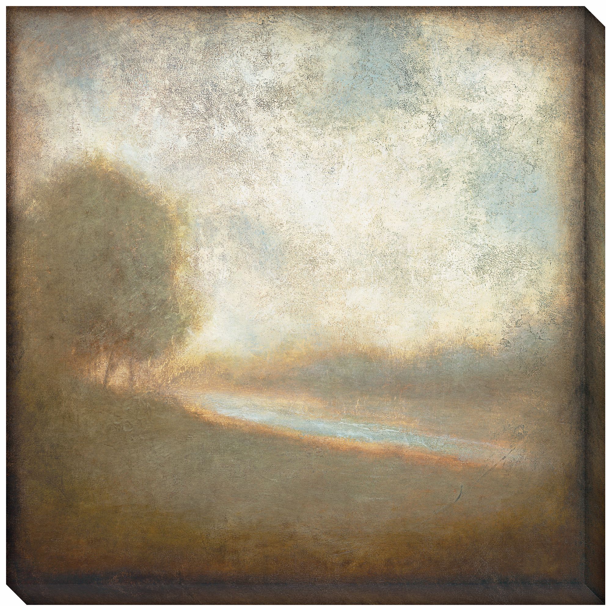 Cloudscape II Indoor/Outdoor 40" Square Wall Art