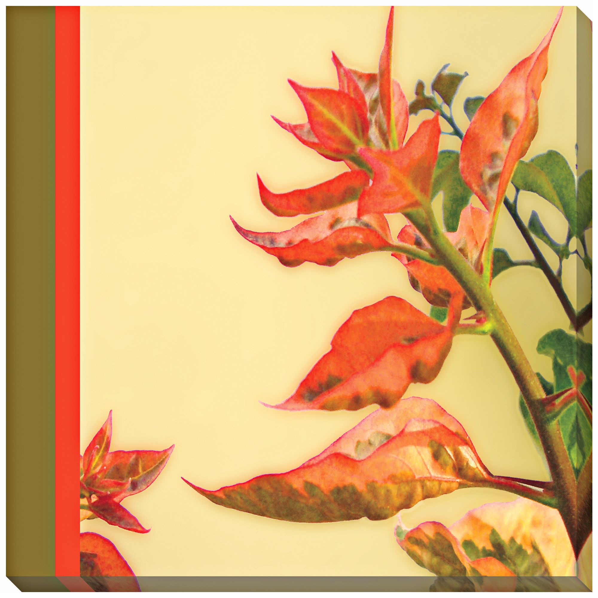 Wall Flower I Giclee Print Indoor/Outdoor 40" Wide Wall Art