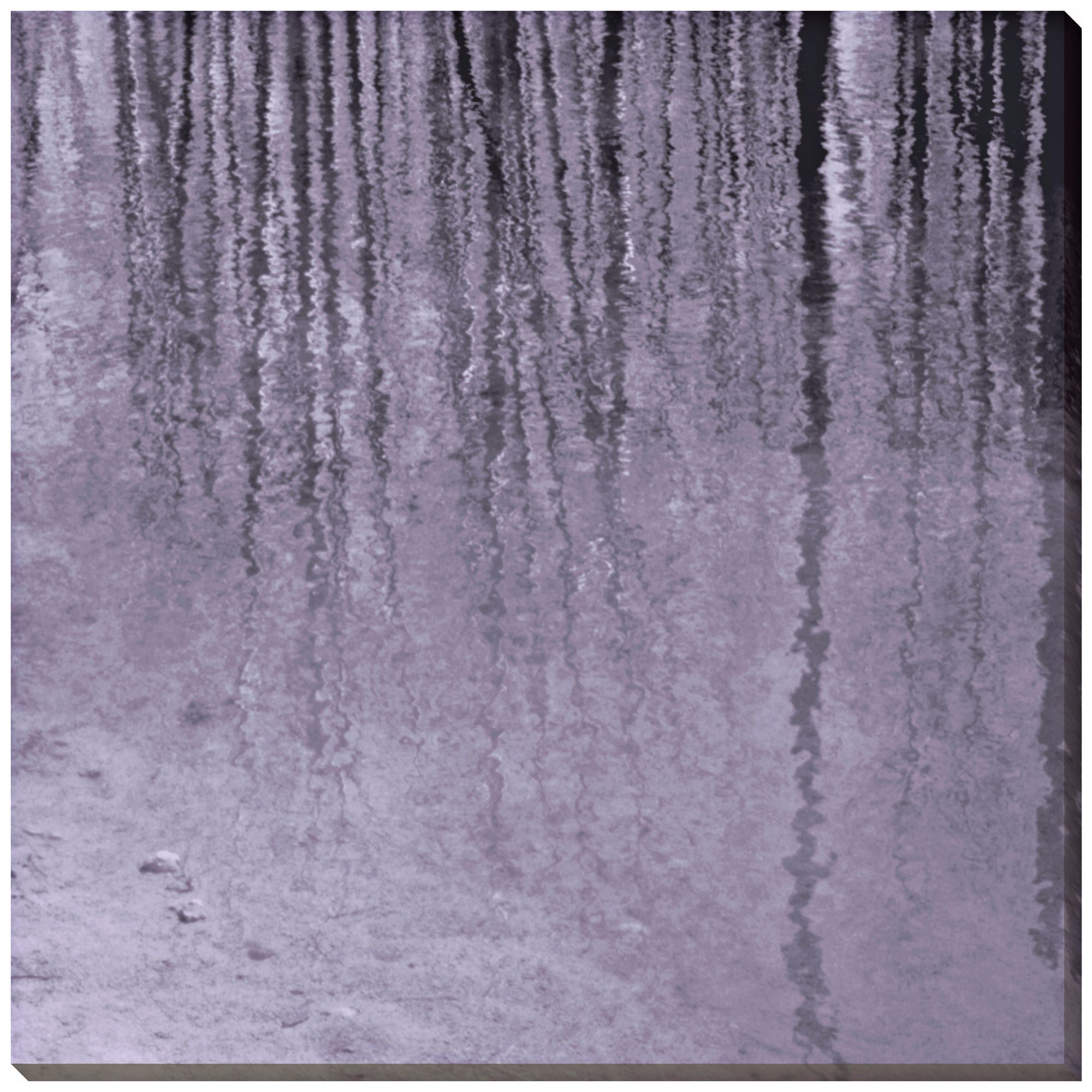 Natural Expression III Indoor/Outdoor 40" Square Wall Art