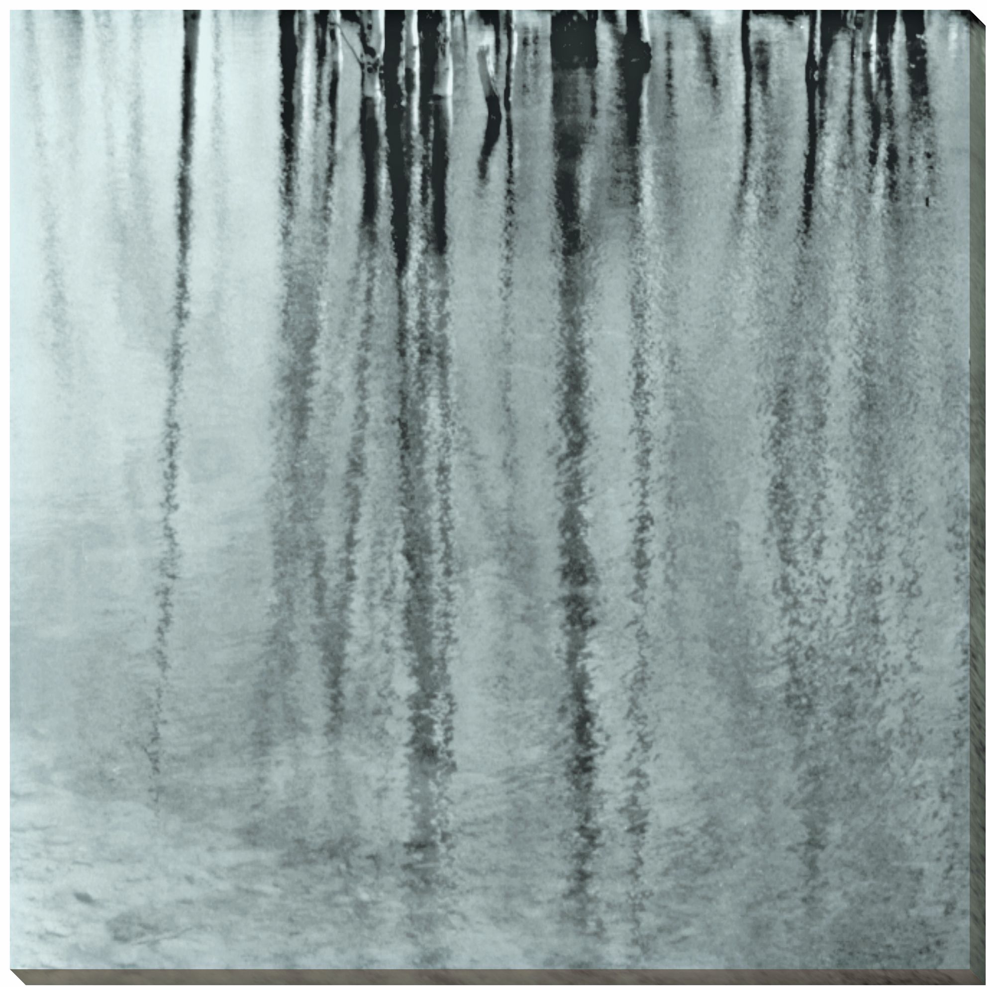 Natural Expression II Indoor/Outdoor 40" Square Wall Art