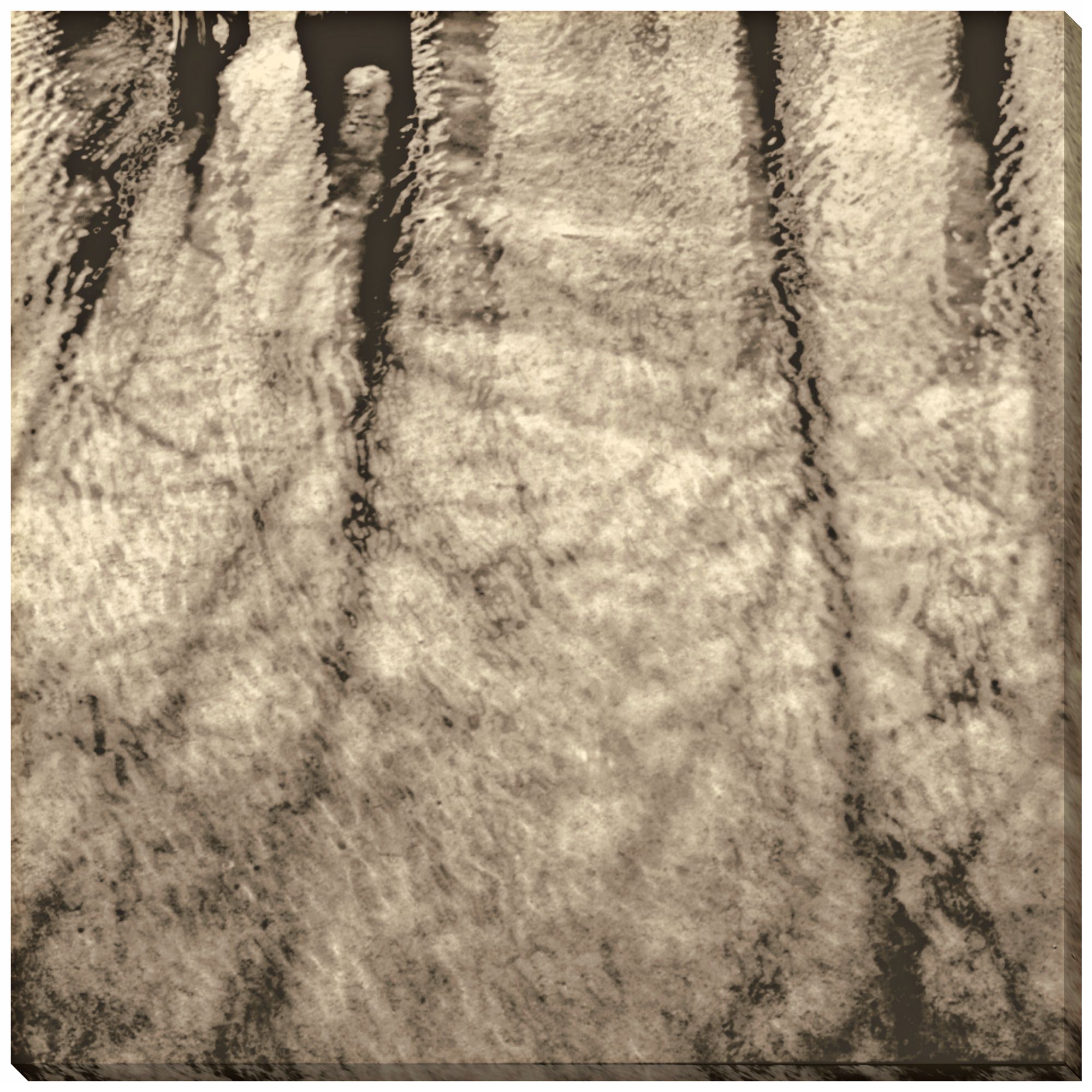 Natural Expression IV Indoor/Outdoor 40" Square Wall Art