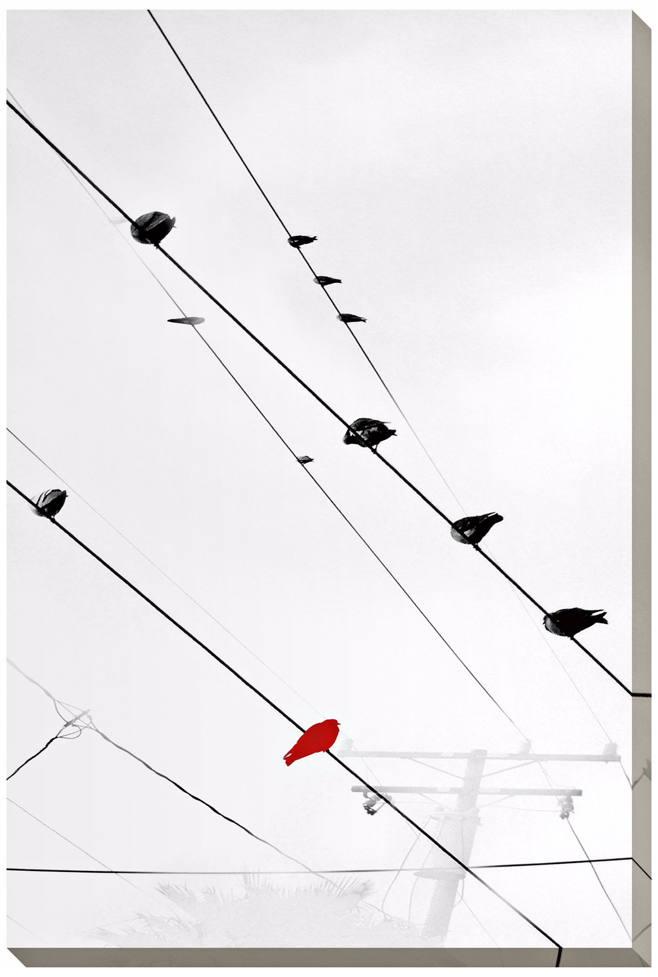 Birds on a Wire II Giclee Indoor/Outdoor 48" High Wall Art