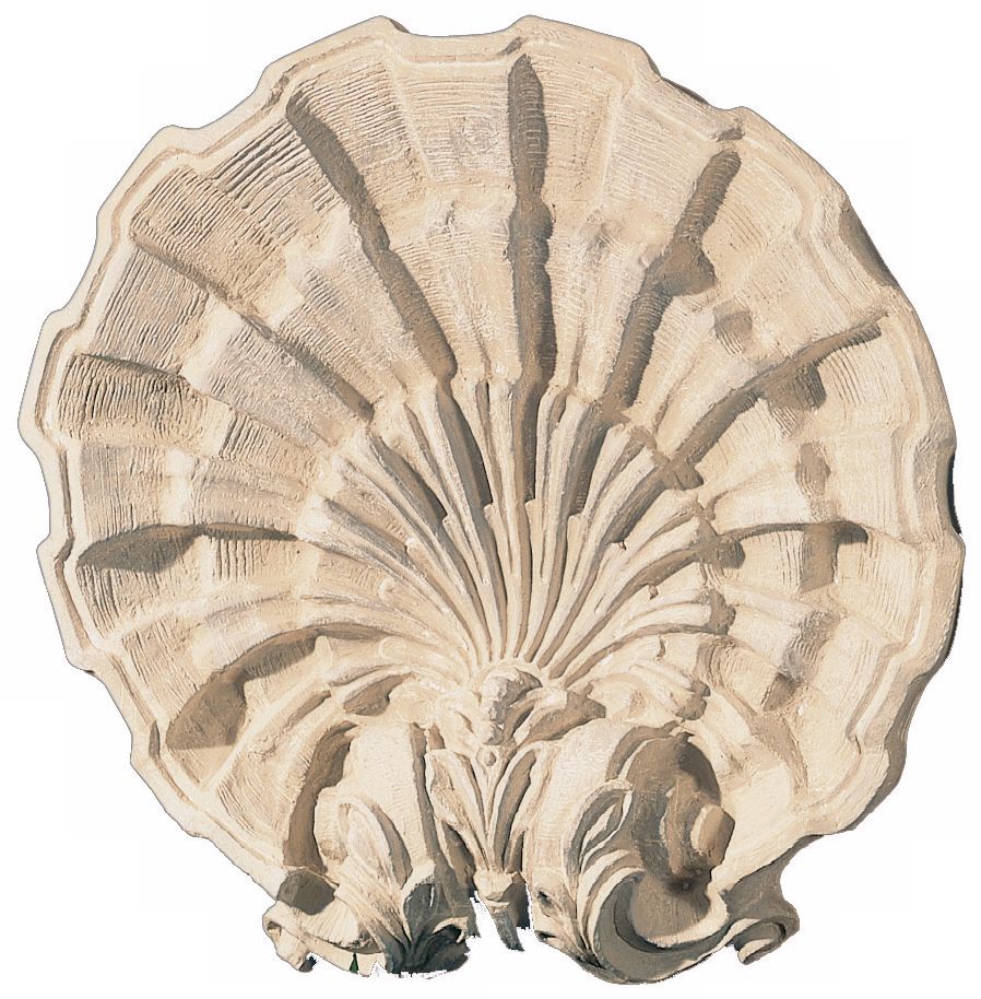 Classic Shell Faux Stone Finish Wall Art