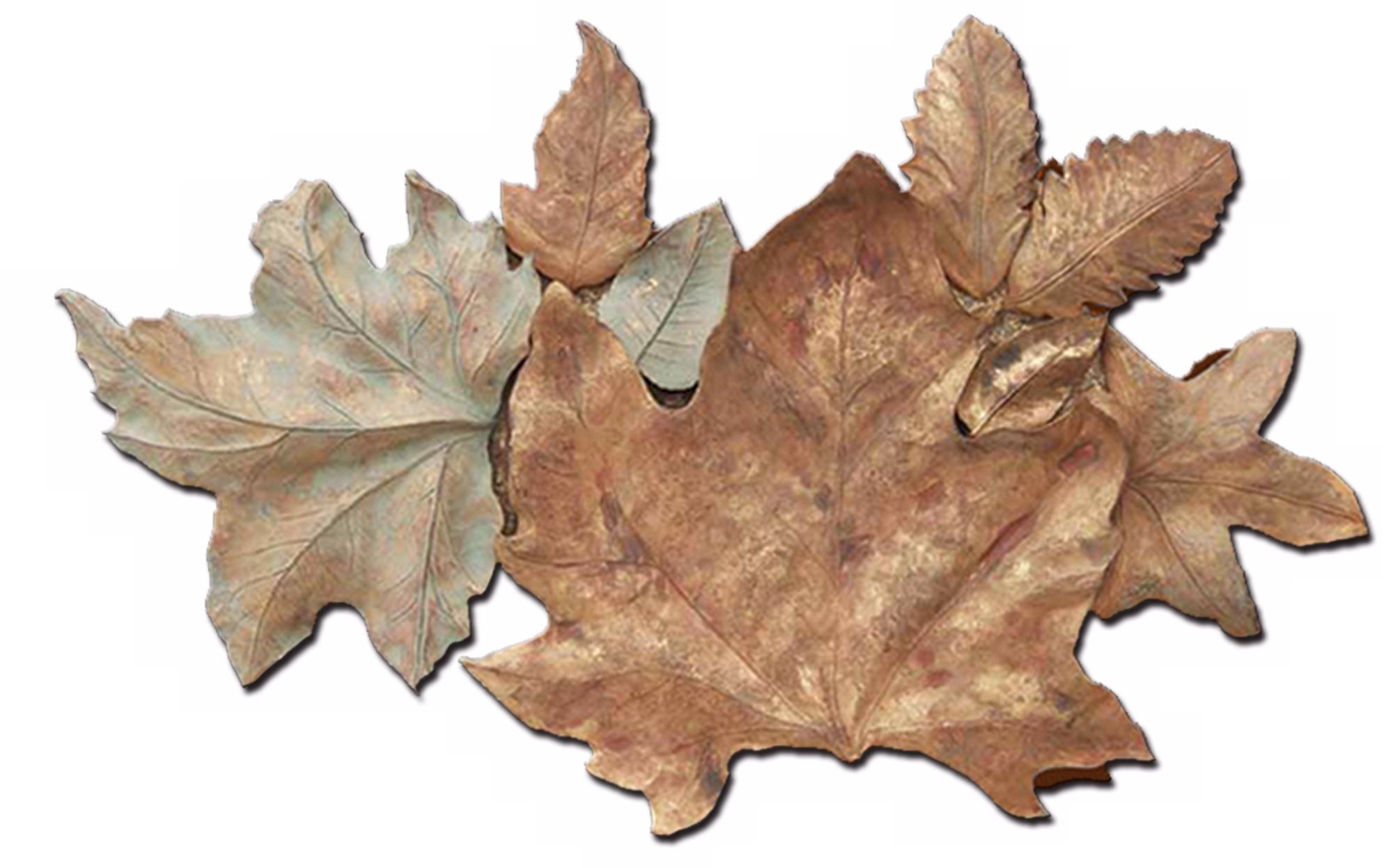 Foliage Collage 33" Wide Wall Art