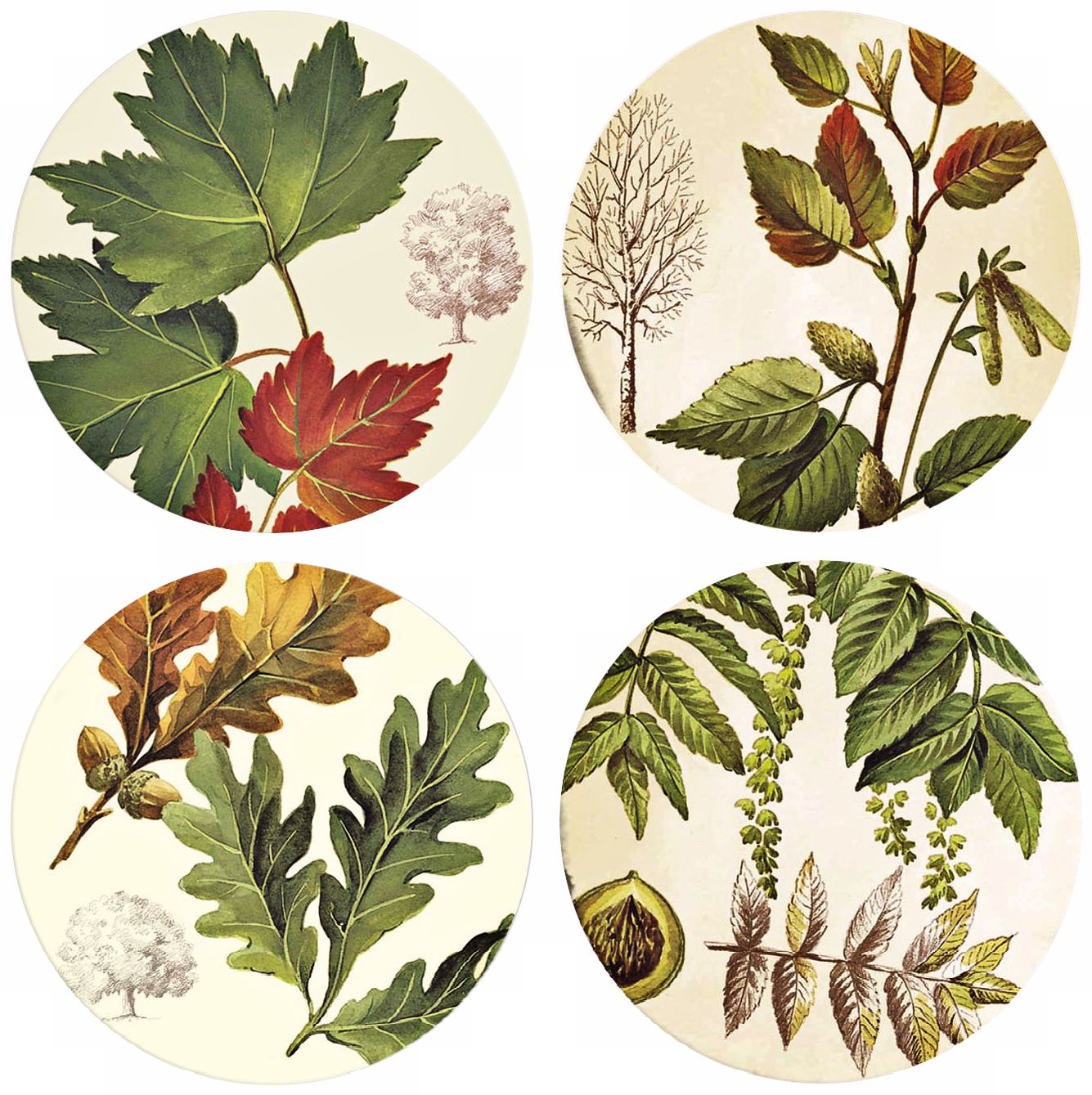 Autumn Leaves design drink coasters